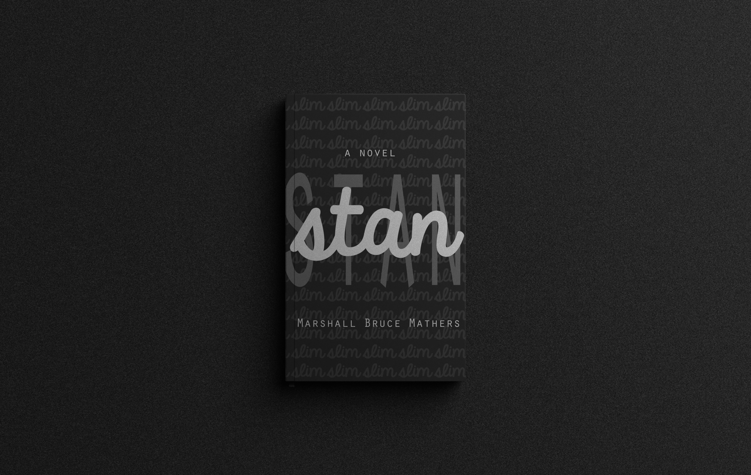 Stan Book Cover