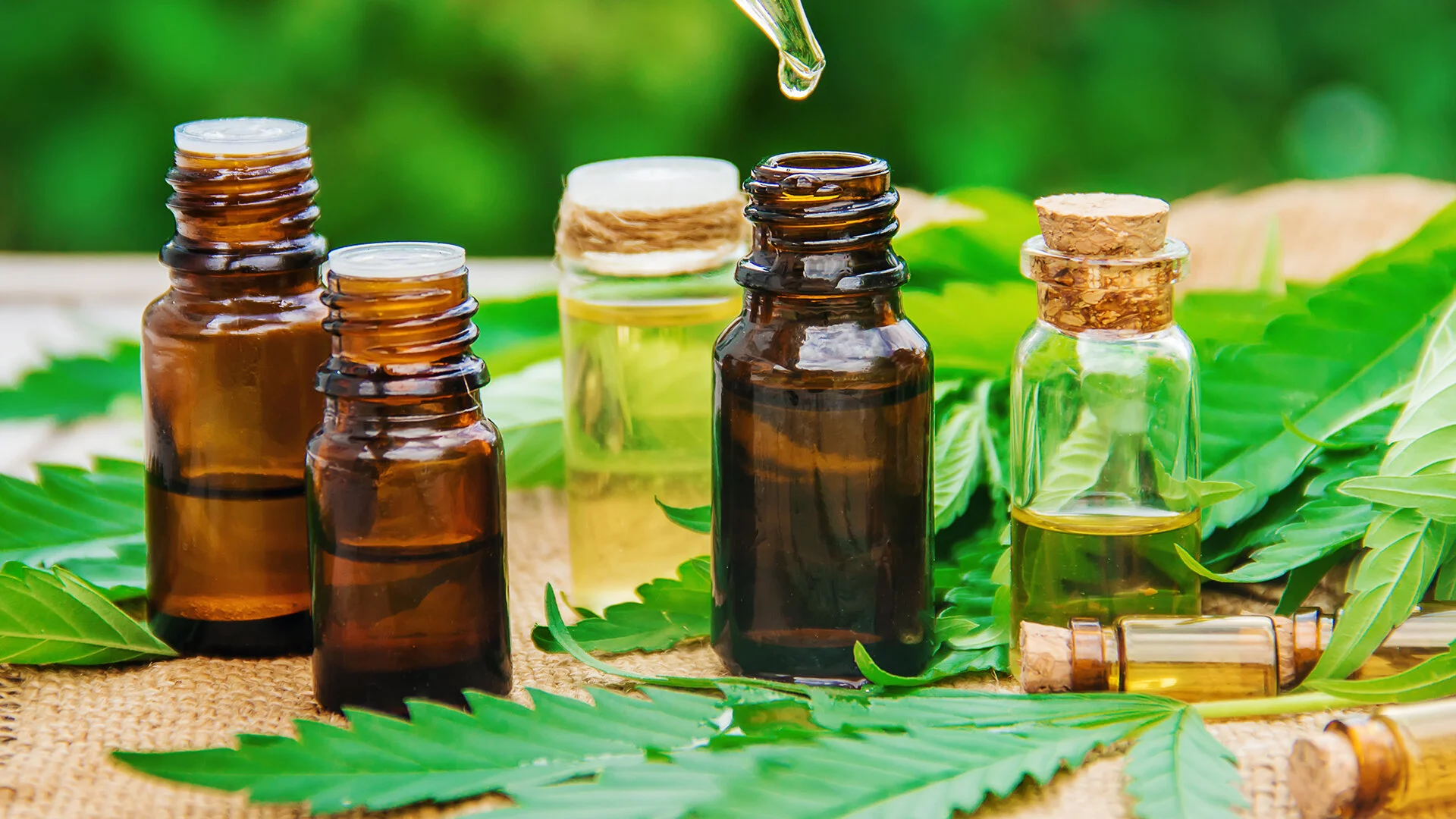 CBD Oil Featured.jpg