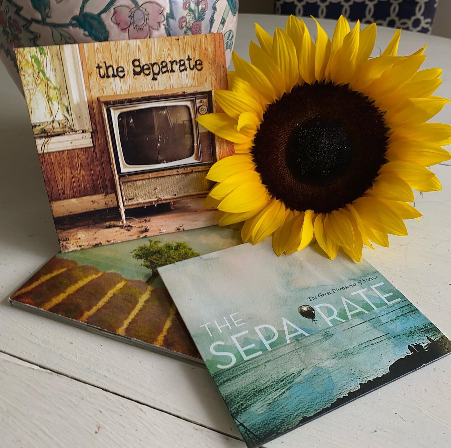 Found old band CDs I made with my favorite dudes. Sunflower for emphasis. I&rsquo;ve got a Spotify link in my bio or just search The Separate on your favorite streaming service 
.
.
.
.
.

#guitars #guitar #guitarist #guitarplayer #music #sunflower #