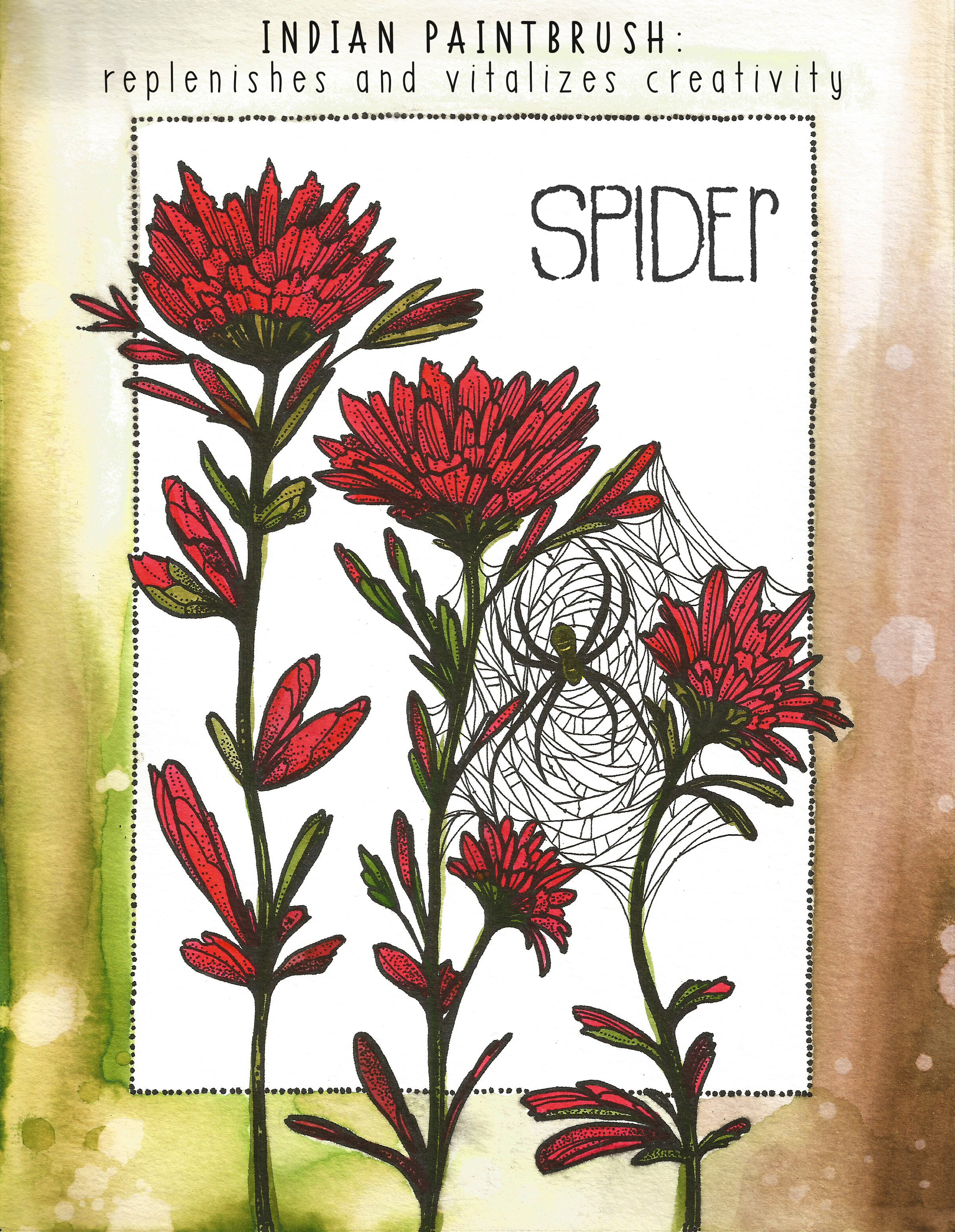 Sekoia Spider.jpeg