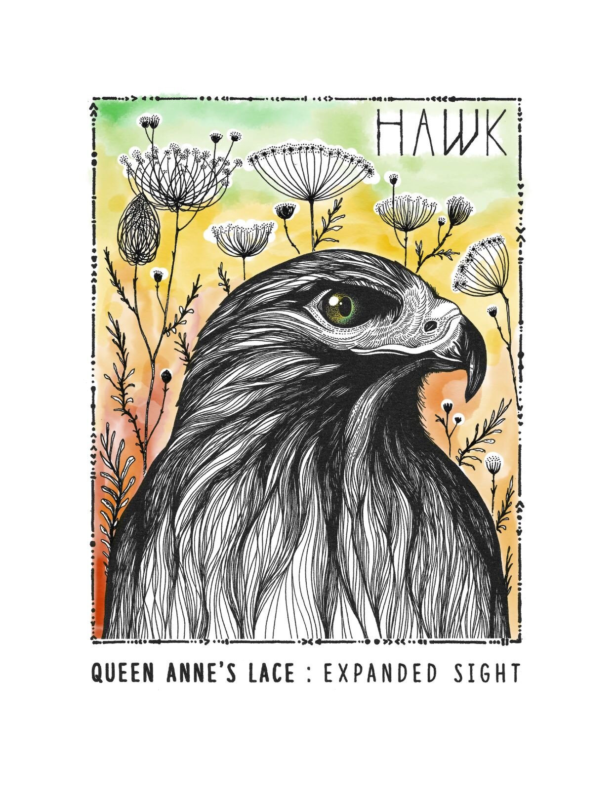 hawk resize.jpg