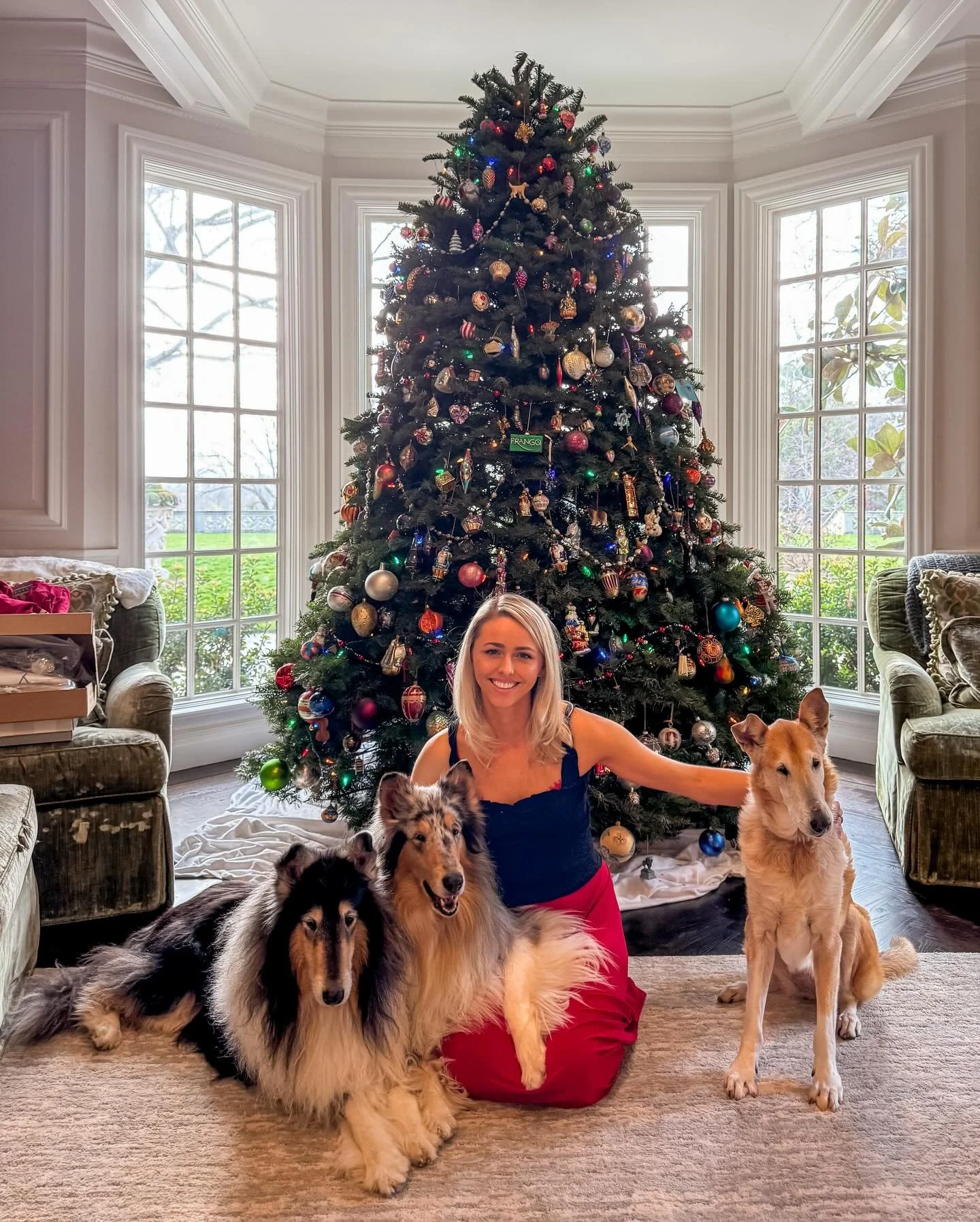 Merry Christmas! 🎄🎁