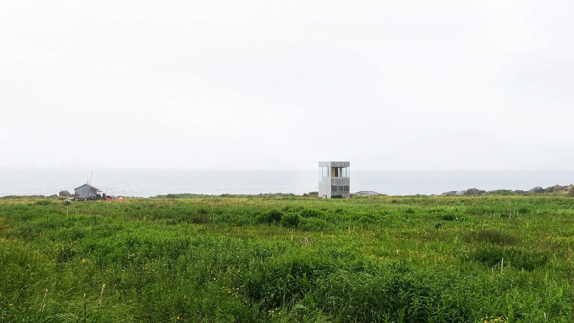 Sykkelskuret sitter stille i den grønne blomsterengen å speider utover havet.