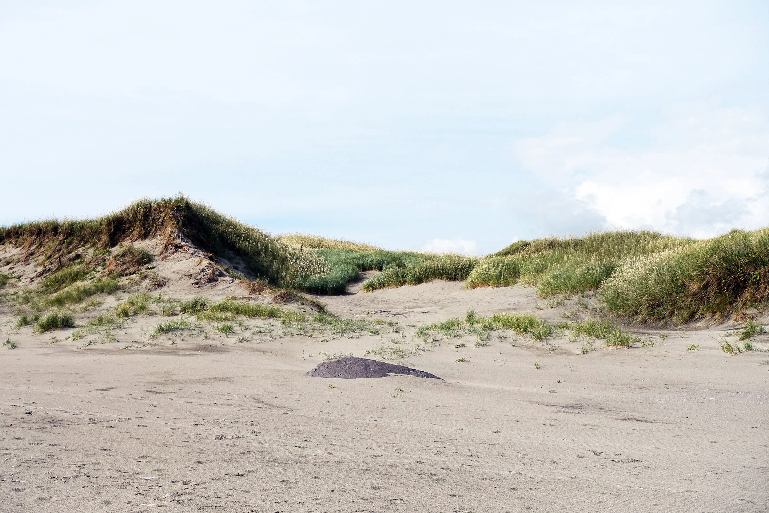 Strand og sanddyne på Brusanden, Hå 2016.