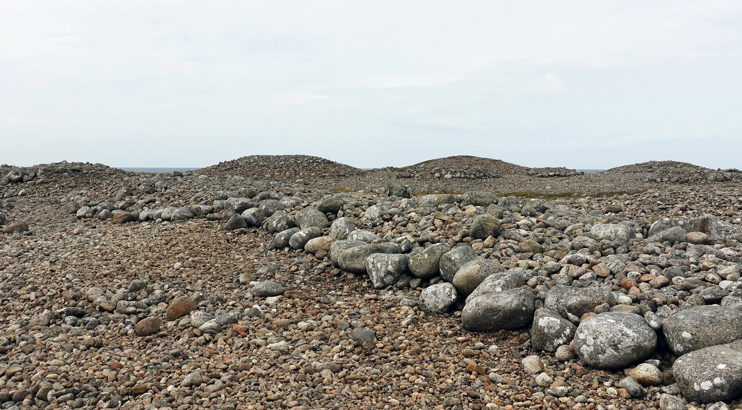 DSC09016 cropped lysere.jpg