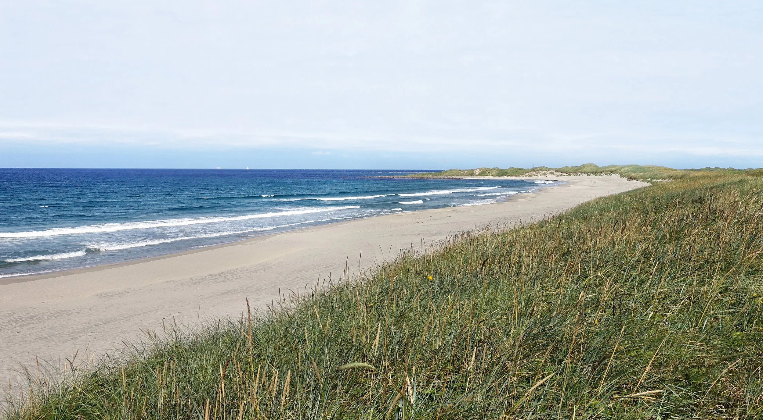 Orrestranda i retning Revtangen. Sommeren 2017.