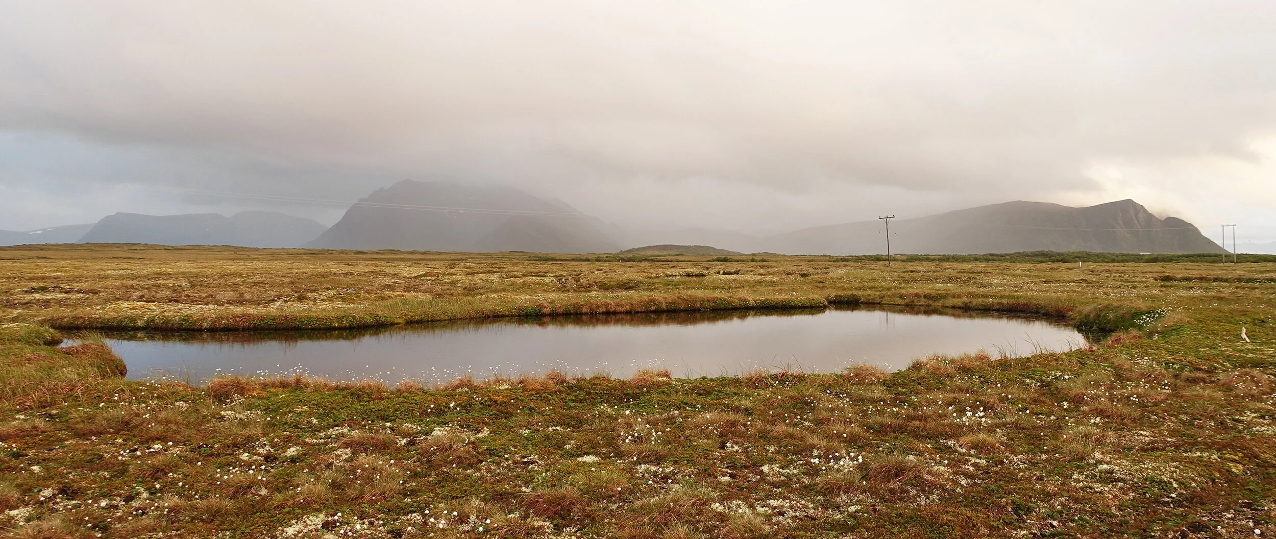 DSC01404 redigert.jpg