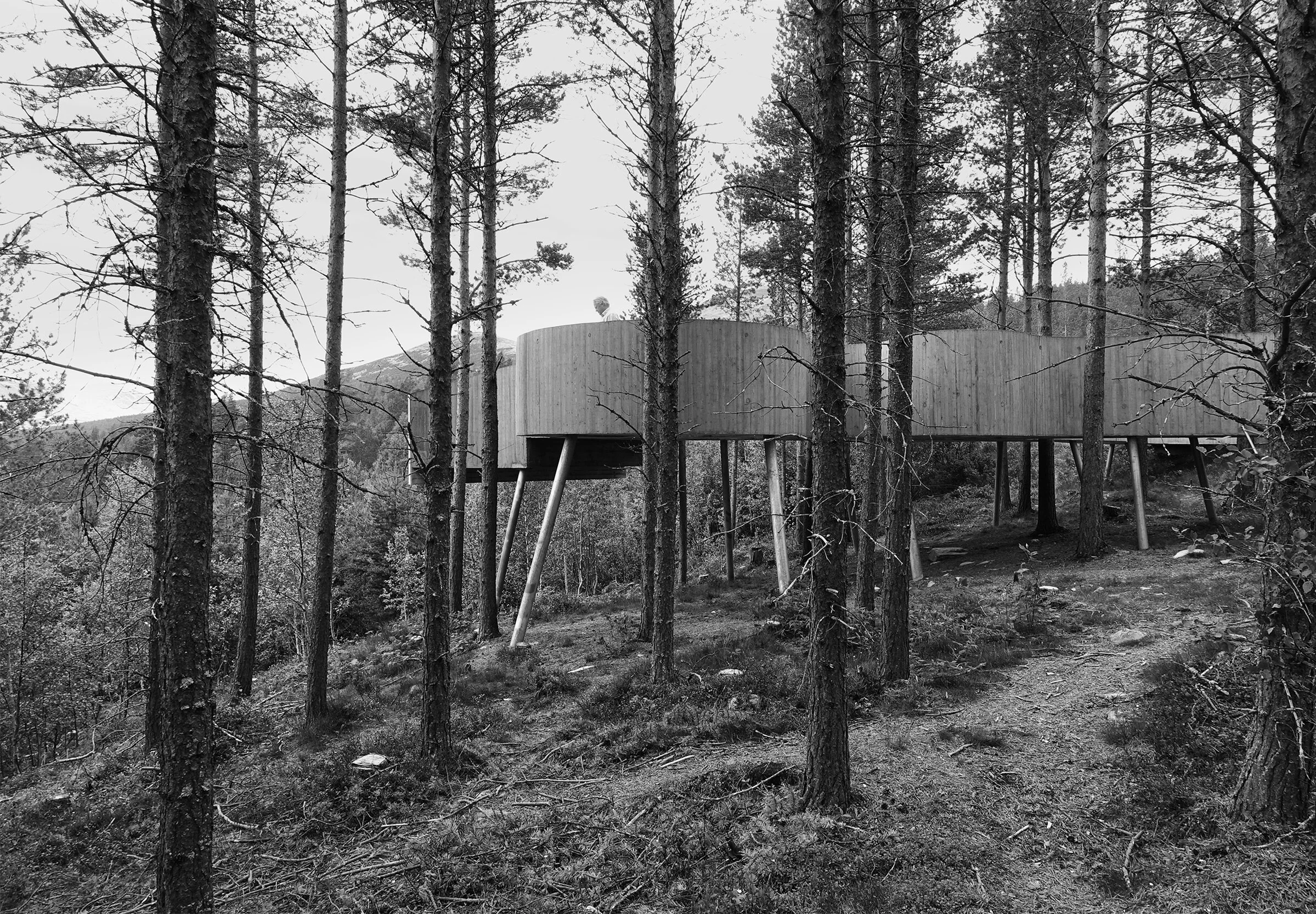 En eldre mann betrakter utsikten på tuppen av utsiktsplattformen. Arkitekt: Carl-Viggo Hølmebakk