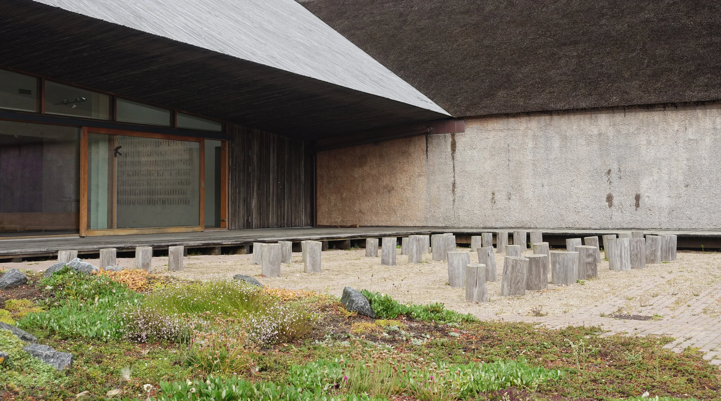 DSC09233 cropped.jpg