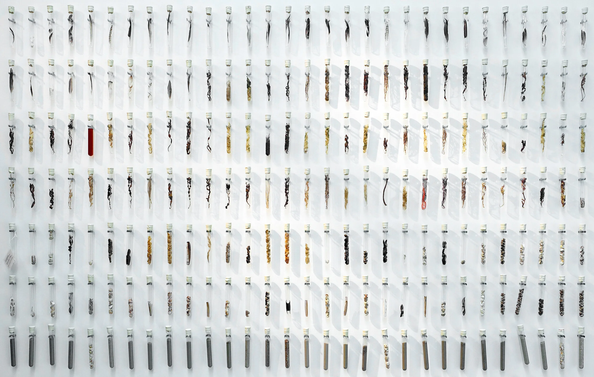 DSC07593 hvit cropped.jpg