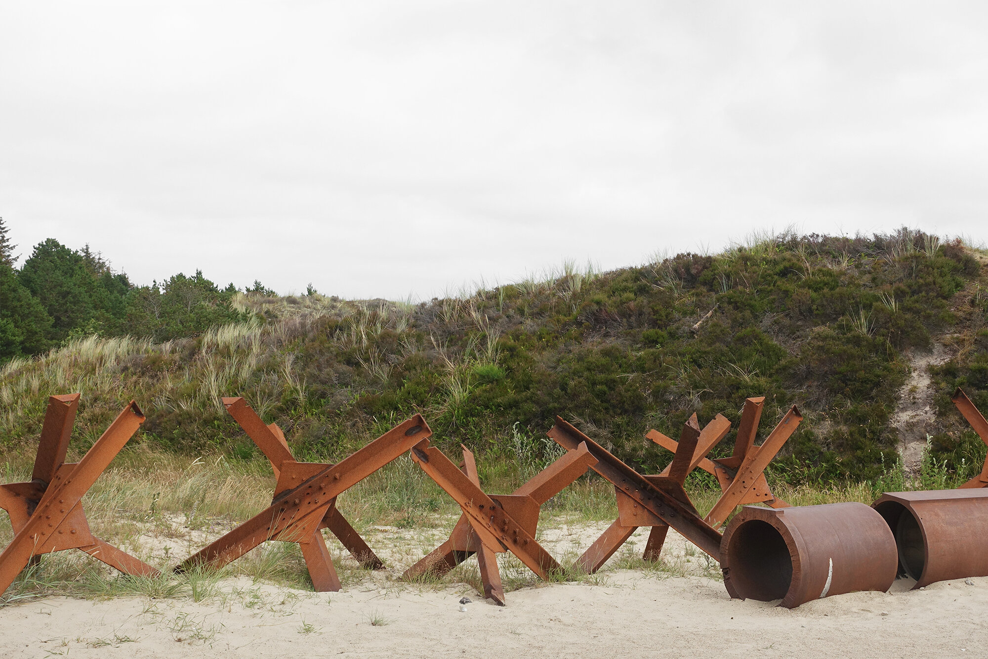 DSC07742 cropped.jpg