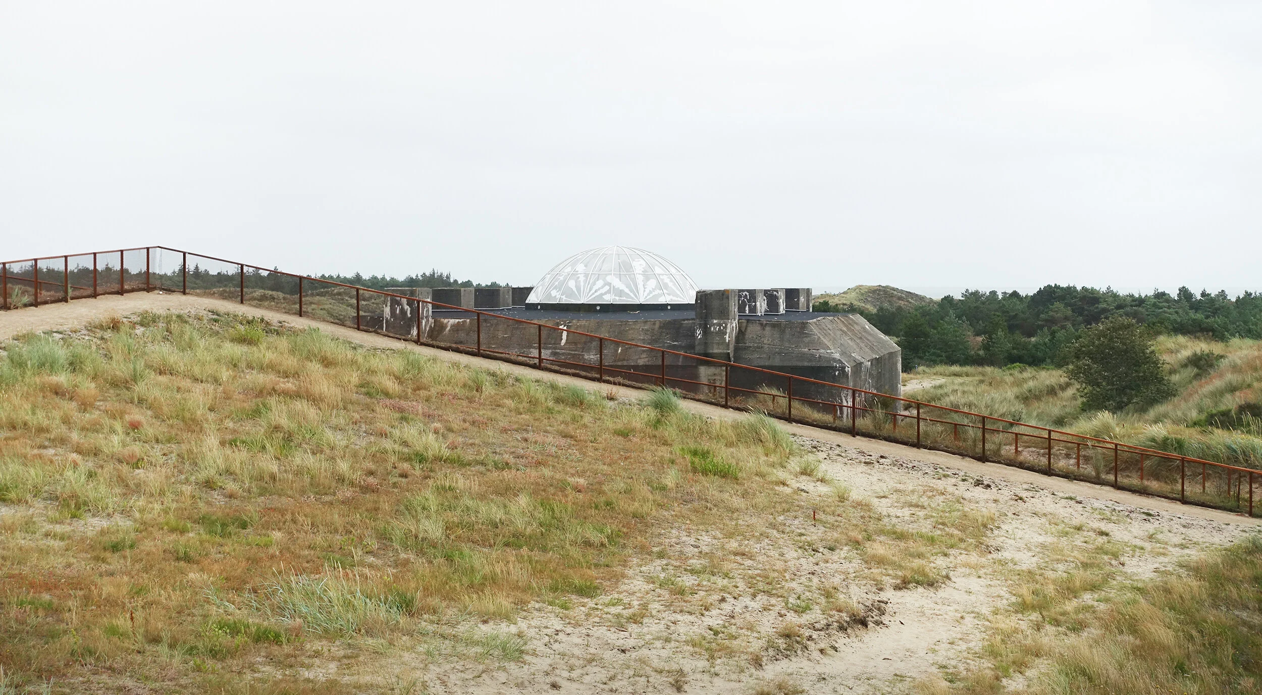 DSC07708 cropped.jpg