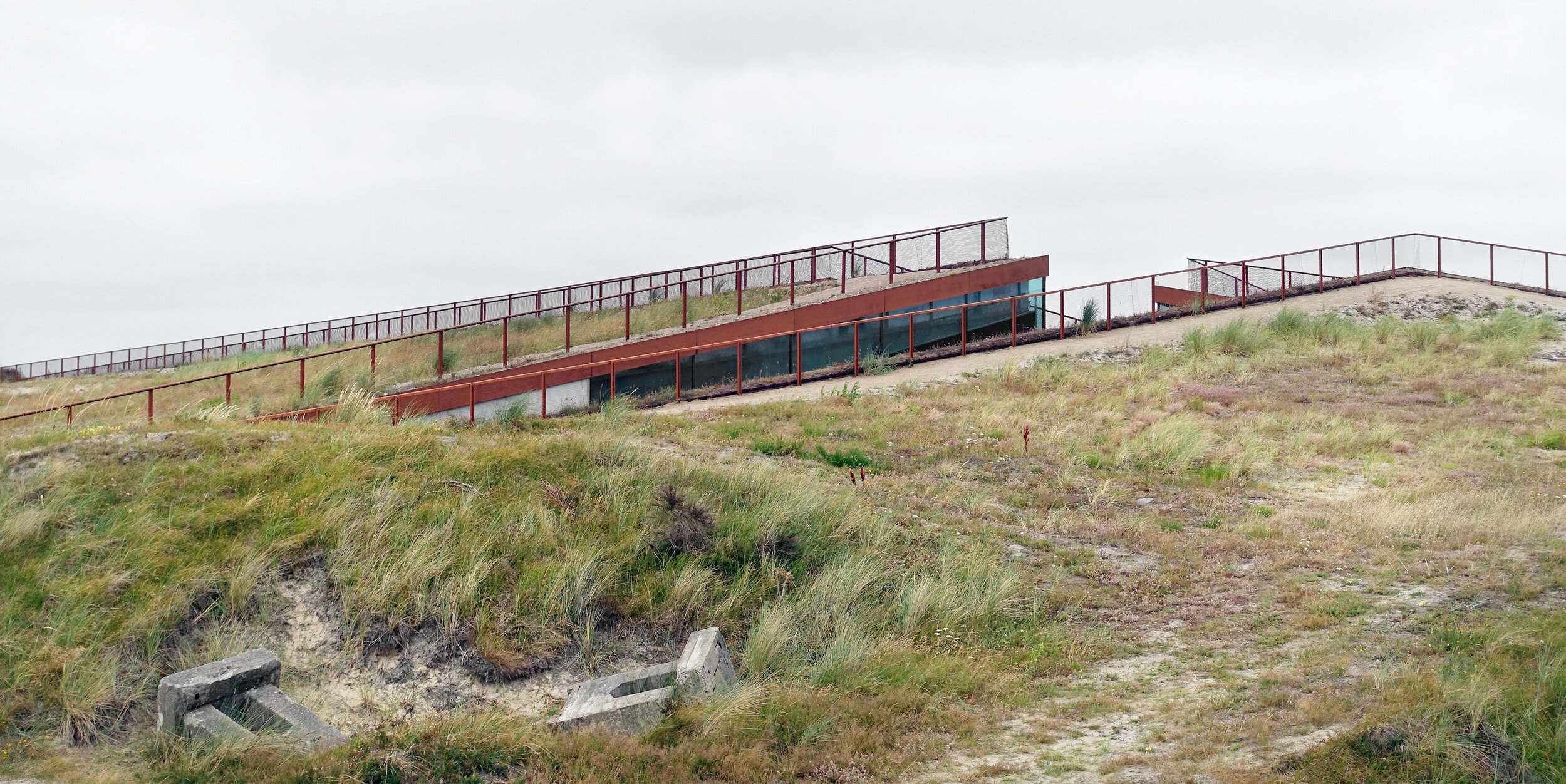 DSC07735 cropped 3.jpg