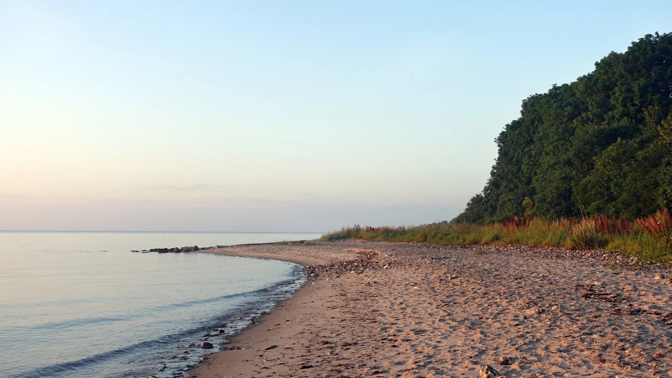 Skogen vokser helt ned til strandkanten ved Mariendal strand.