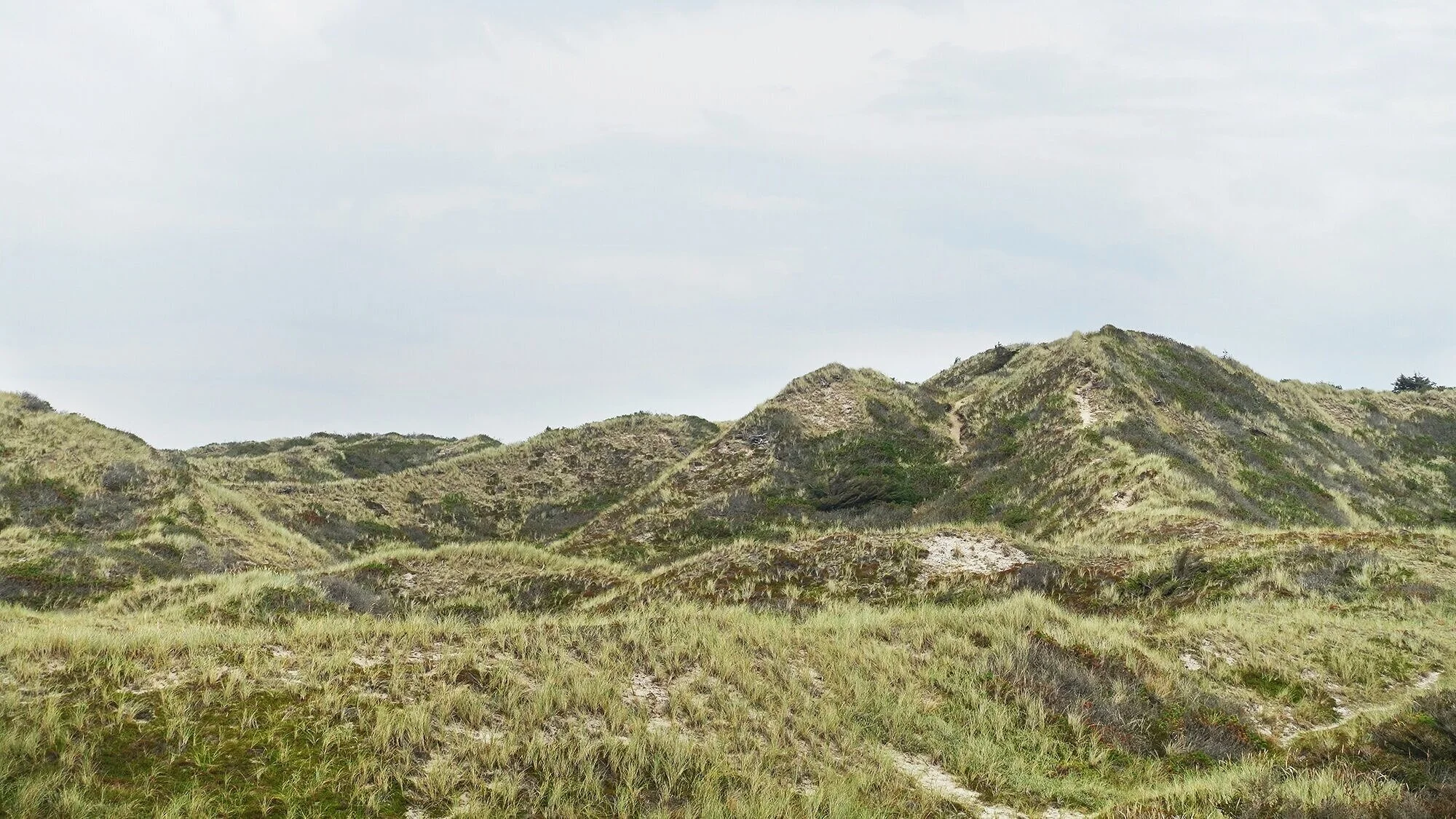 Et landskap av sanddyner og mose.
