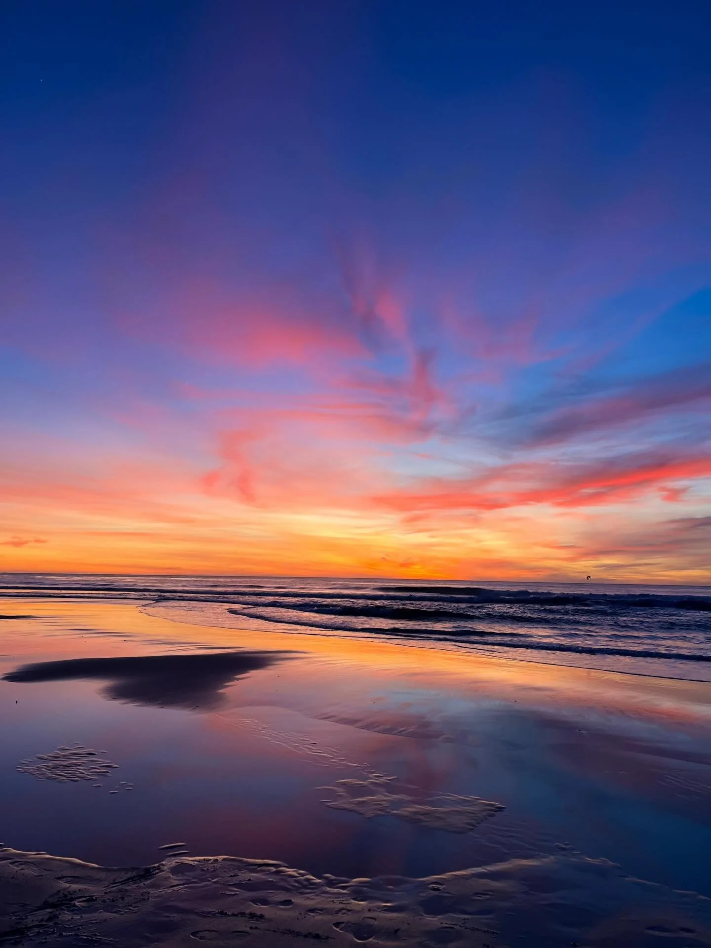 2025 in nature pics, with a wild surprise at the end🪻