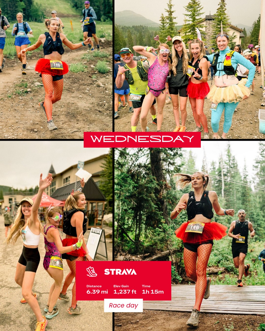 Wasatch Trail Run Series Trail Running Race.png