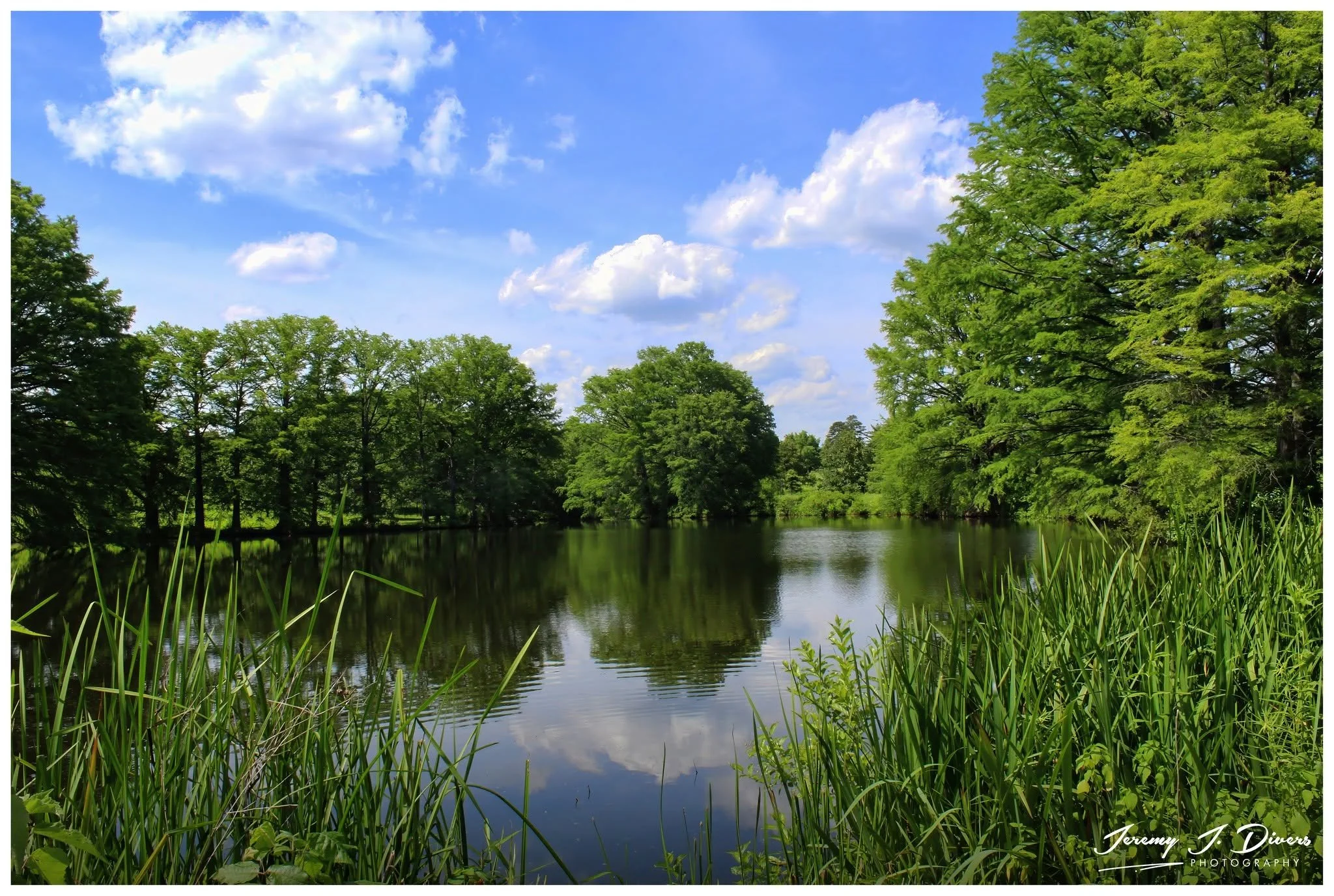 "Views from Cypress Lake," (E) Shaw Nature Reserve, Gray Summit, MO