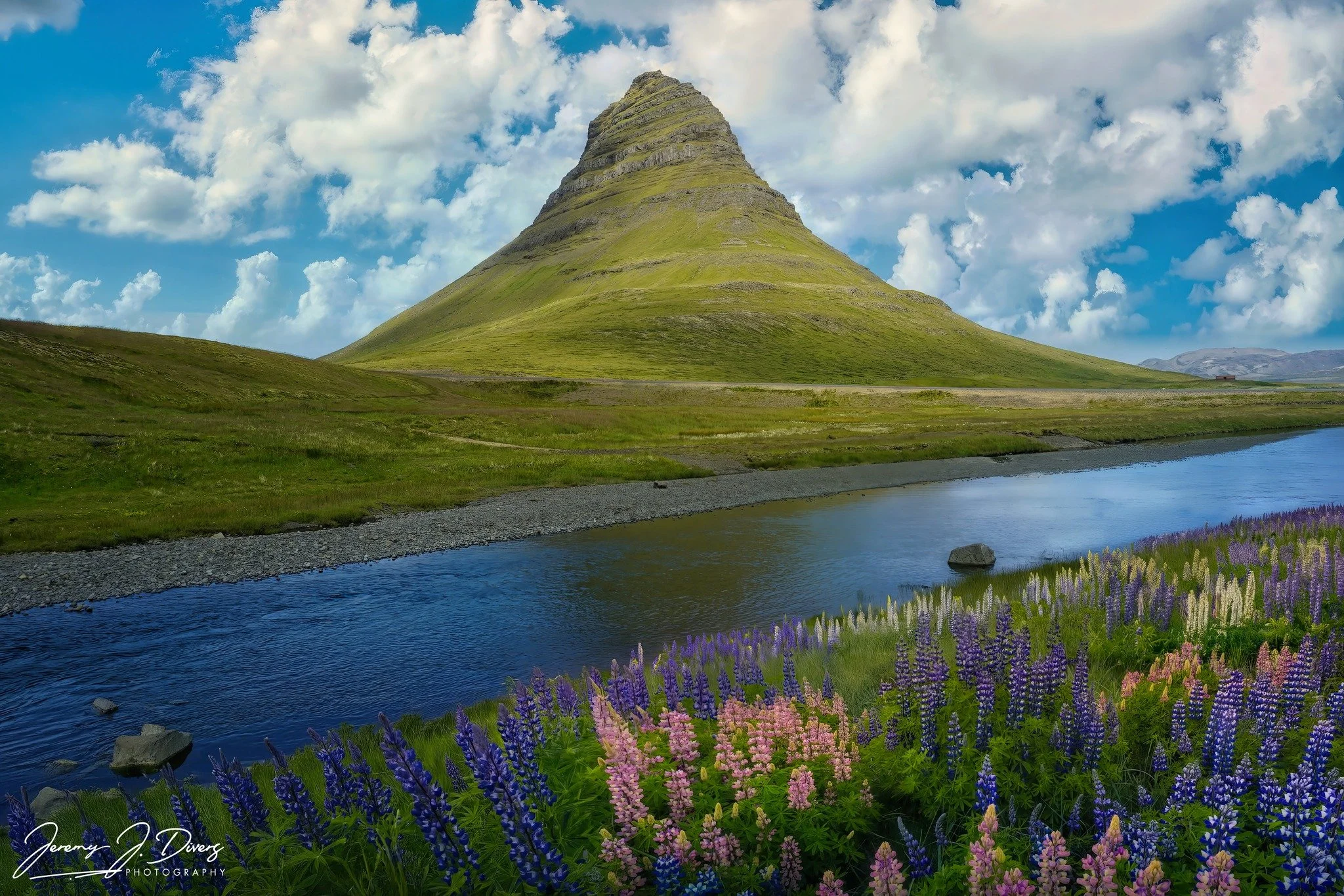 "Kirkjufell From the Lupine" Grundarfjörður, Iceland