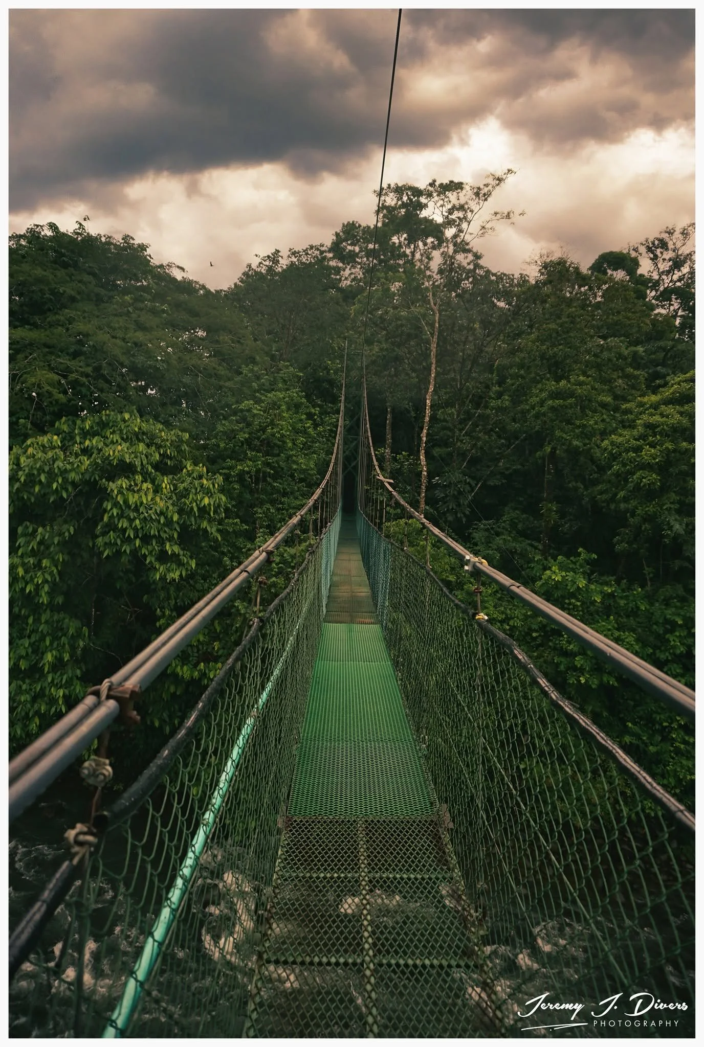 "Stormy Day Along the Hanging Bridge" (C) Tirimbina Biological Reserve, Sarapiquí, Costa Rica