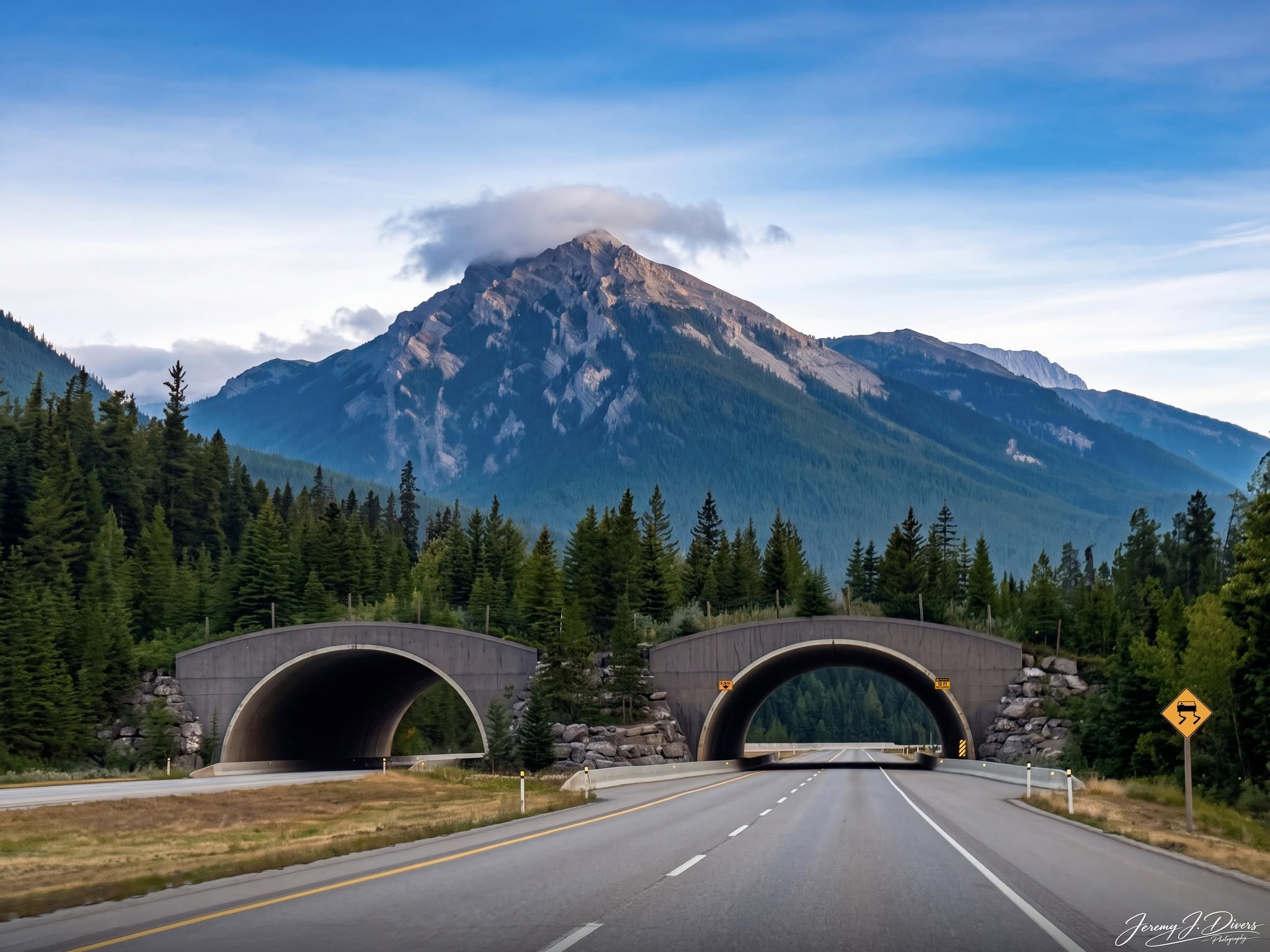 "Wildlife Bridge" Banff National Park, Alberta, Canada