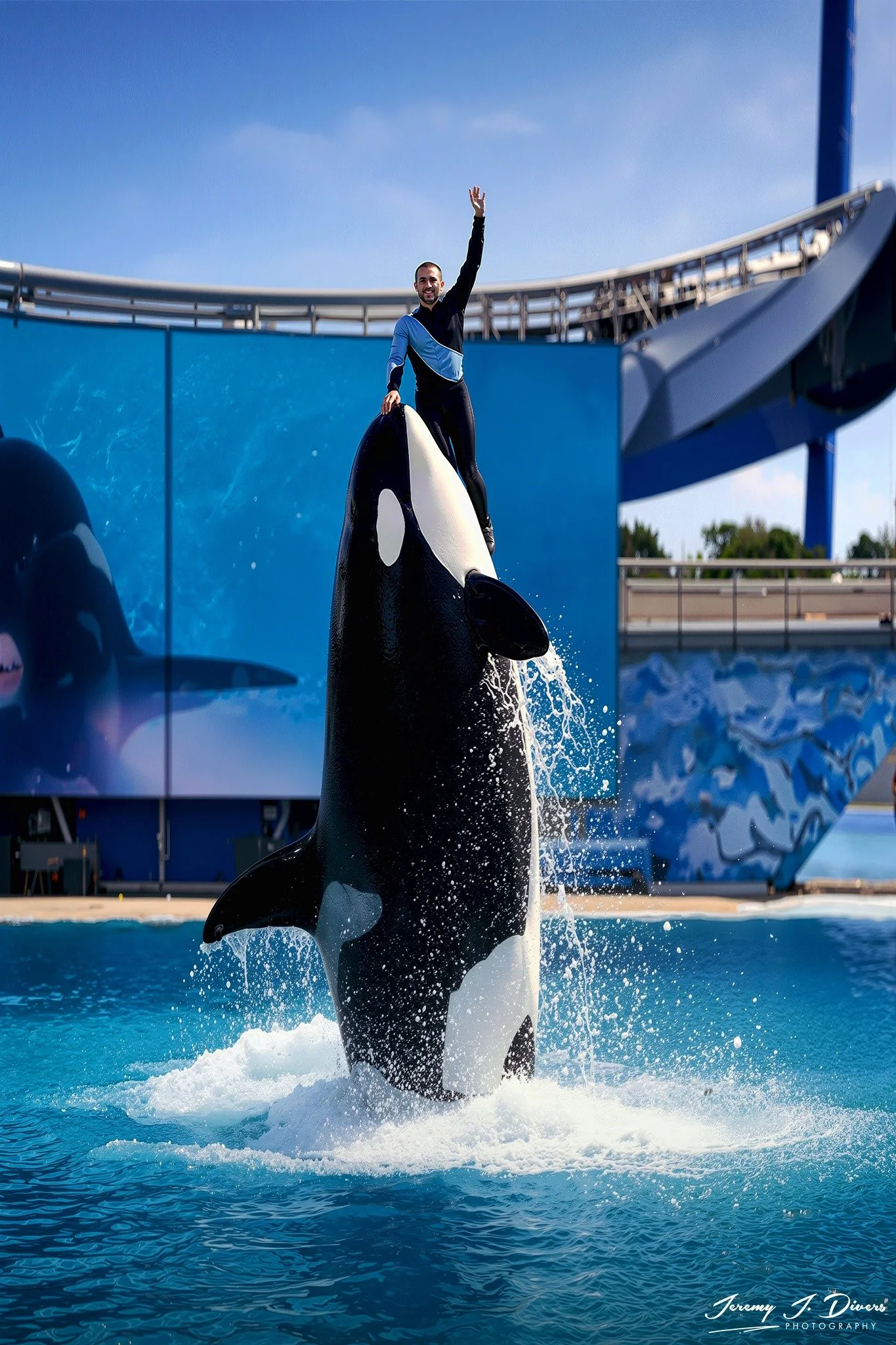"The Mighty Shamu" Sea World, San Diego