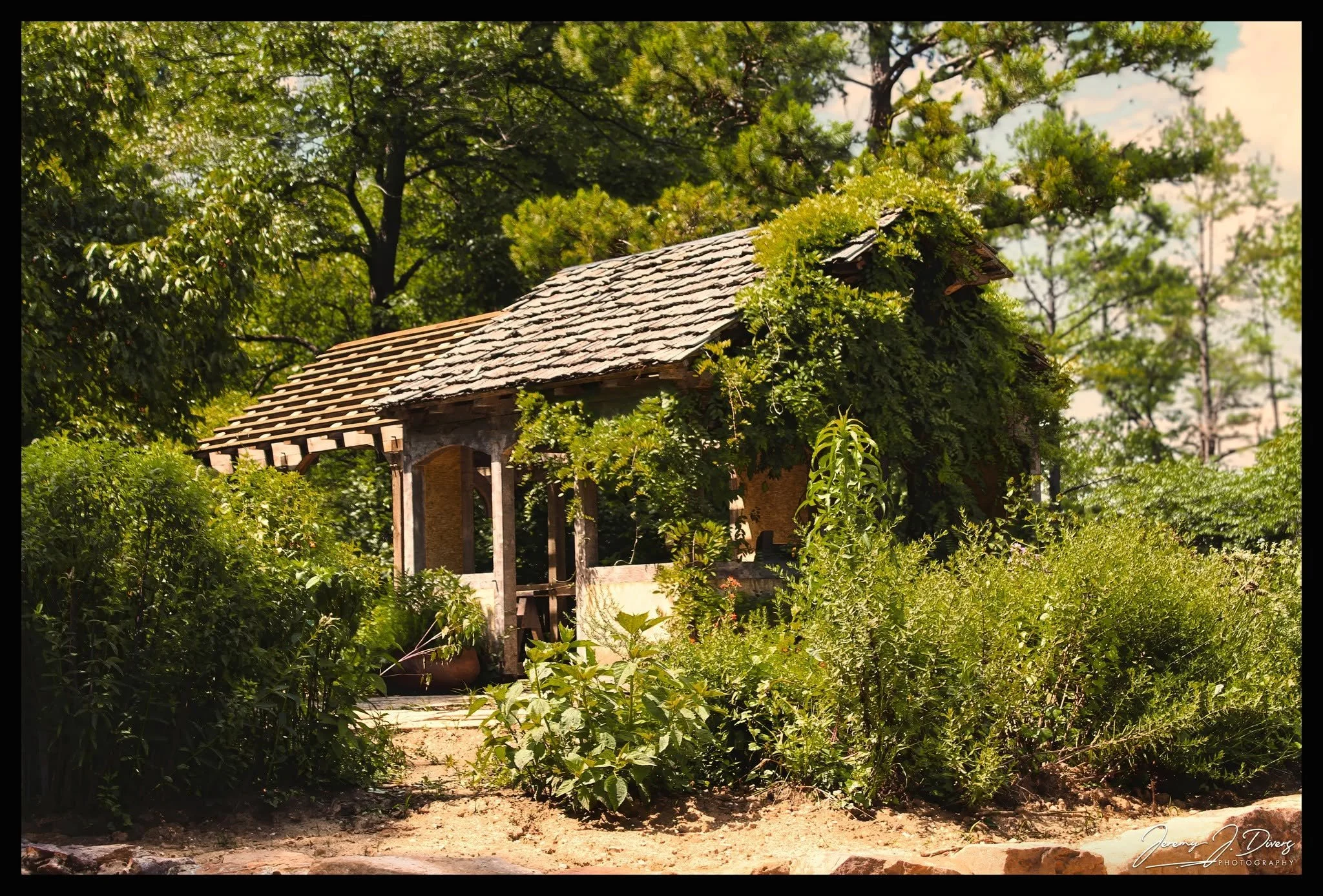 "Nature Reclaims the Cottage," Shaw Nature Reserve, Gray Summit, MO