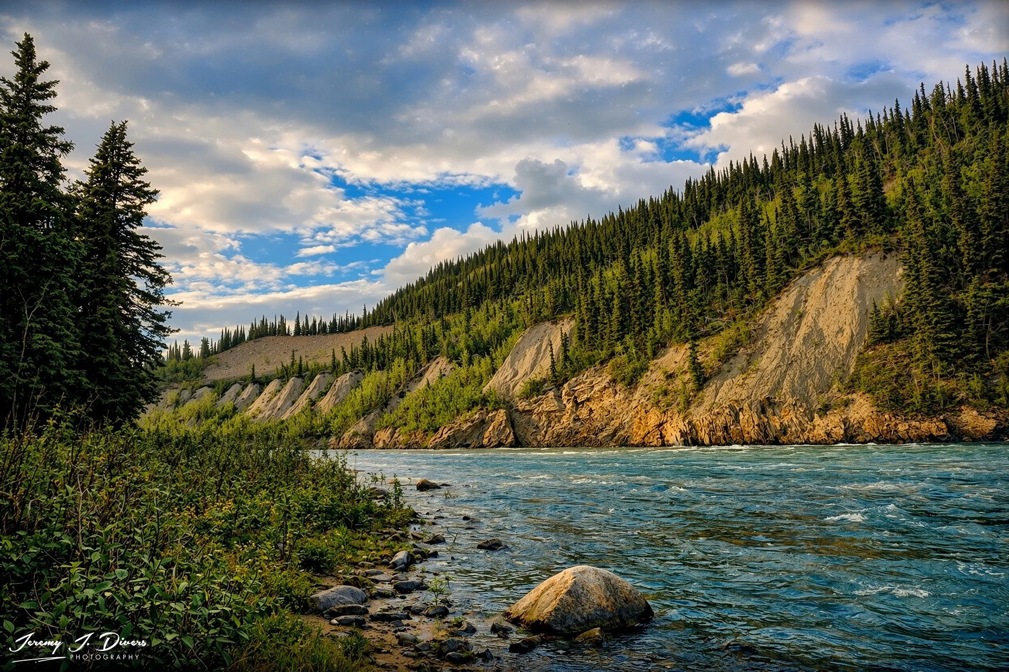 "Whispering Pines by the Riverbend" Denali National Park, Alaska