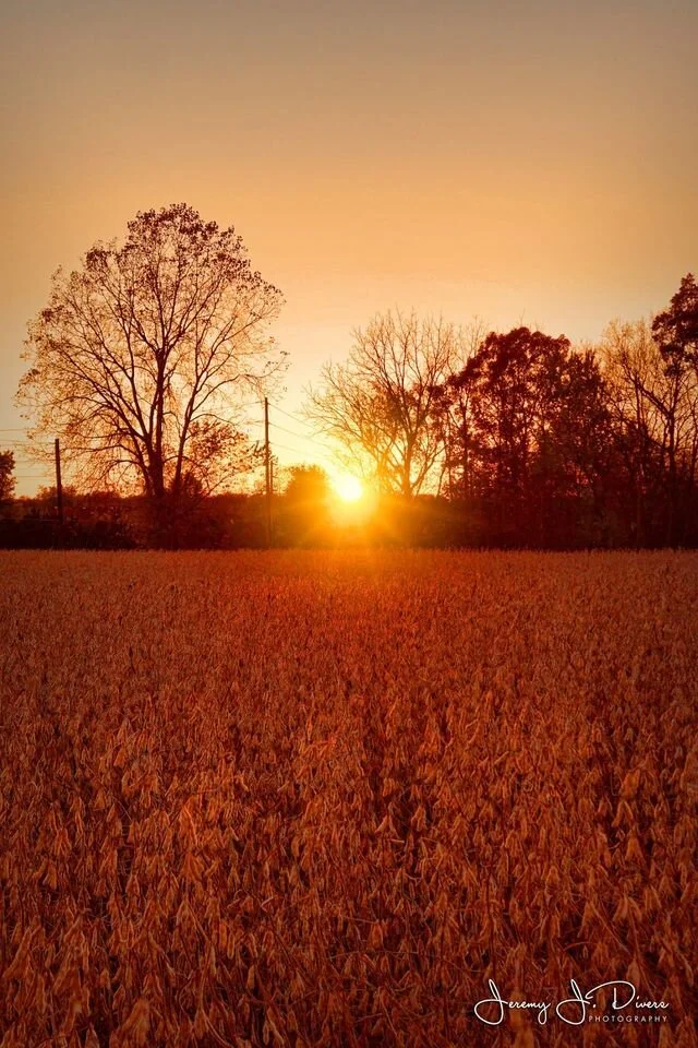 "Soybeans and the Setting Sun" Hannibal, Missouri