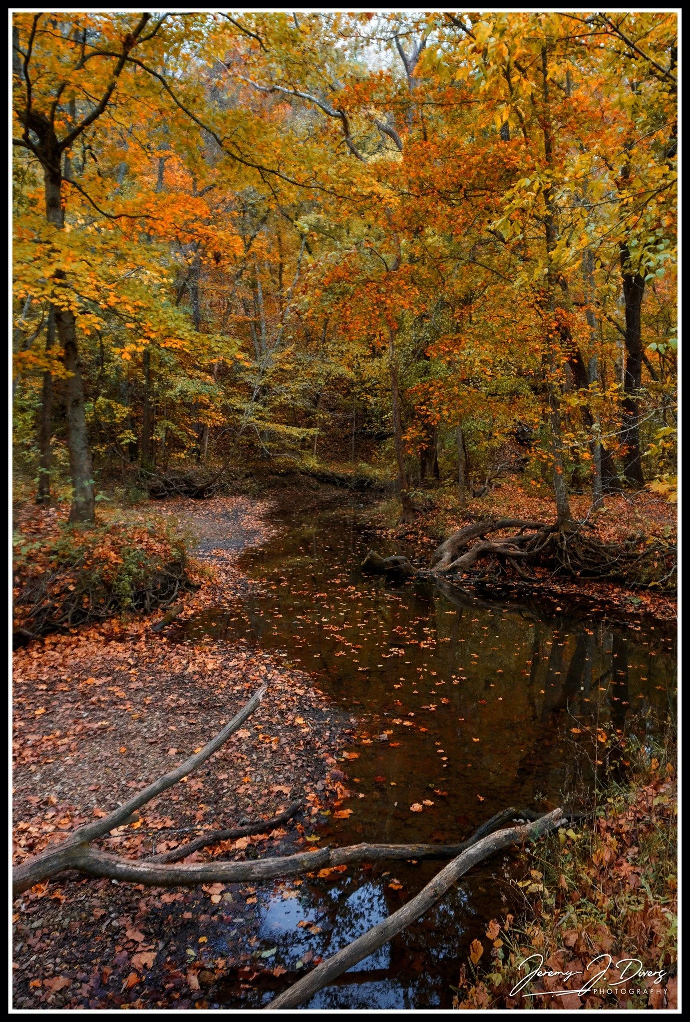 "Autumn Brook" Rockbridge State Park, Columbia, MO