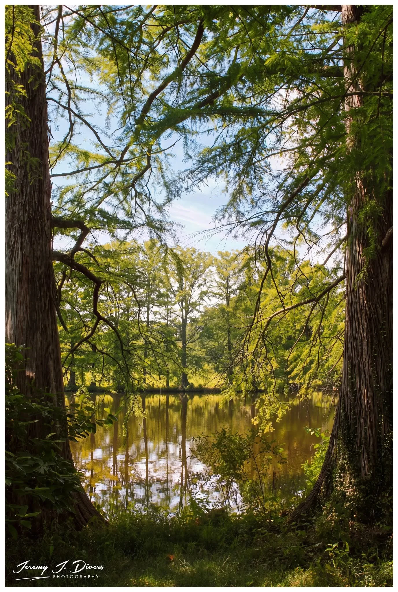 "Views from Cypress Lake," (G) Shaw Nature Reserve, Gray Summit, MO