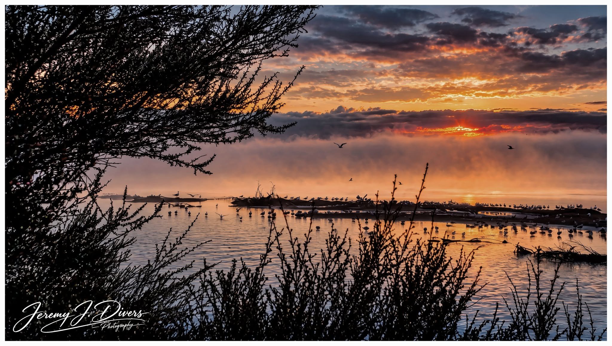 "Wings Across the Dawn" Auckland, New Zealand