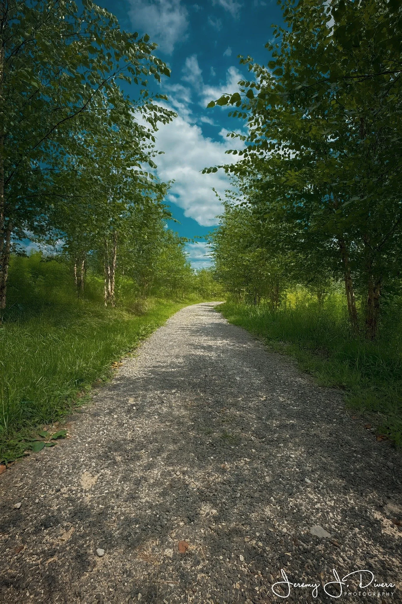"The Peaceful Road" Shaw Nature Reserve, Gray Summit, Missouri