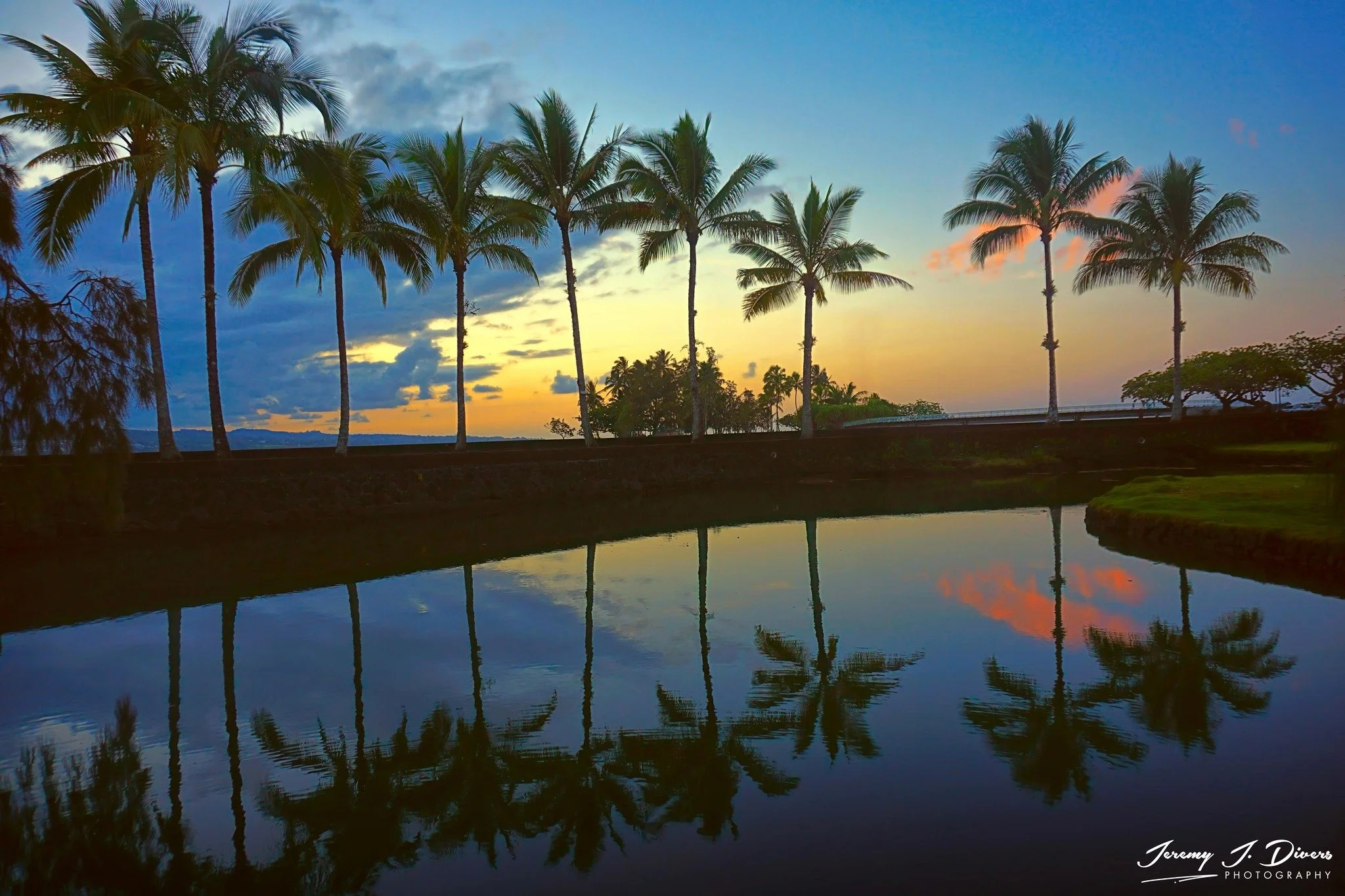 "Palm Tree Reflections" Hilo Hotel, Hawaii