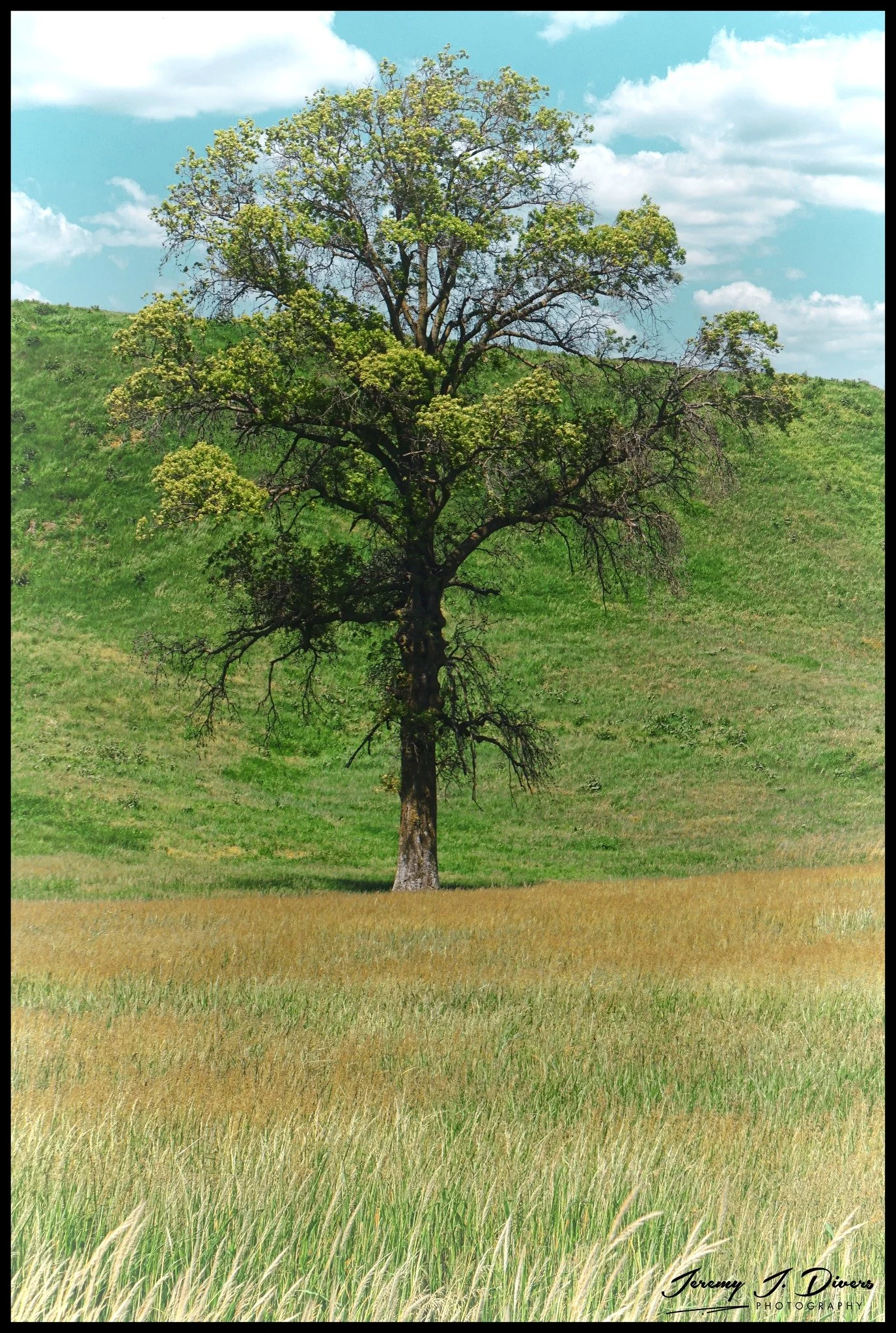 “The Lone Sentinel” Cahokia, Illinois