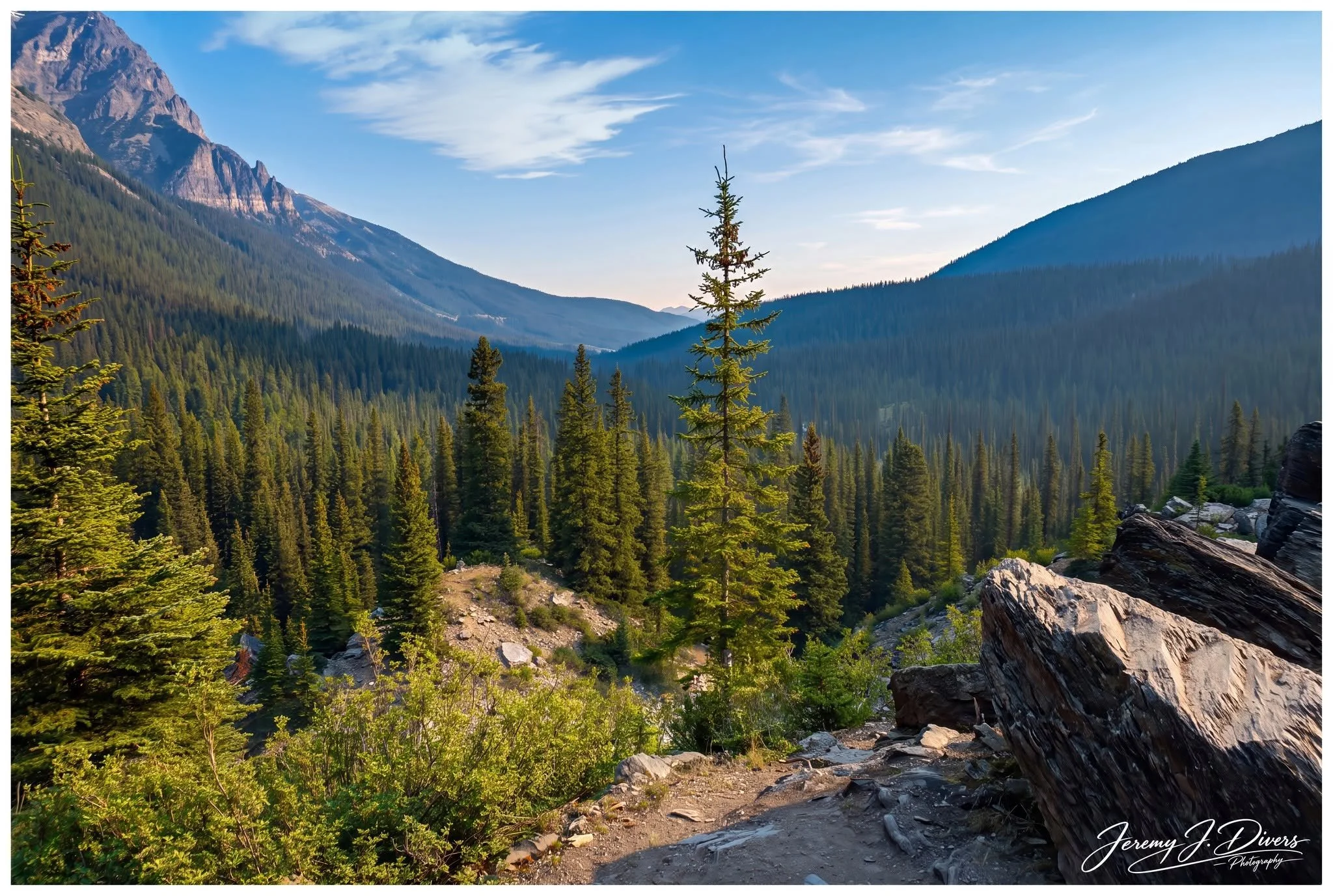 "Valley of Pines" Banff National Park, Alberta, Canada