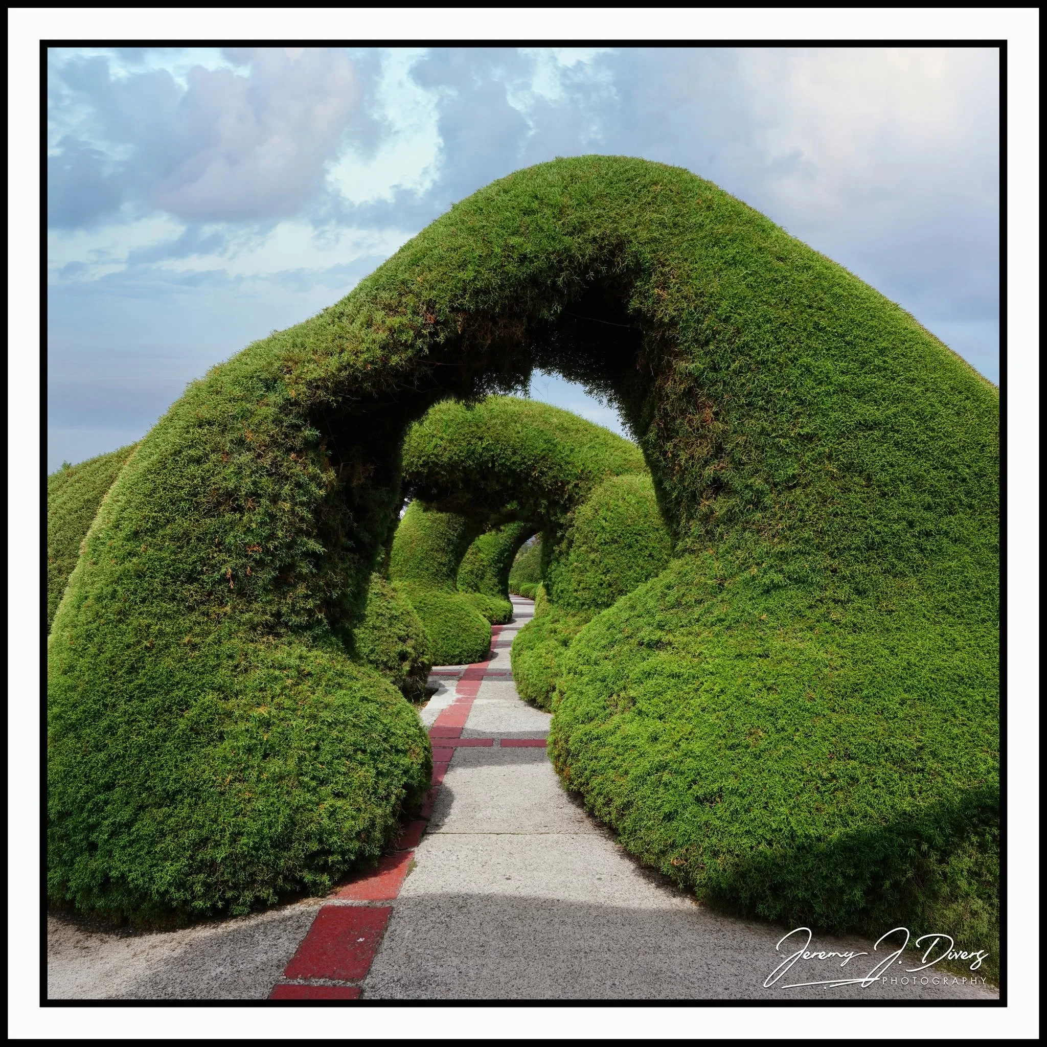 "The Green Archway" Zarcero, Costa Rica