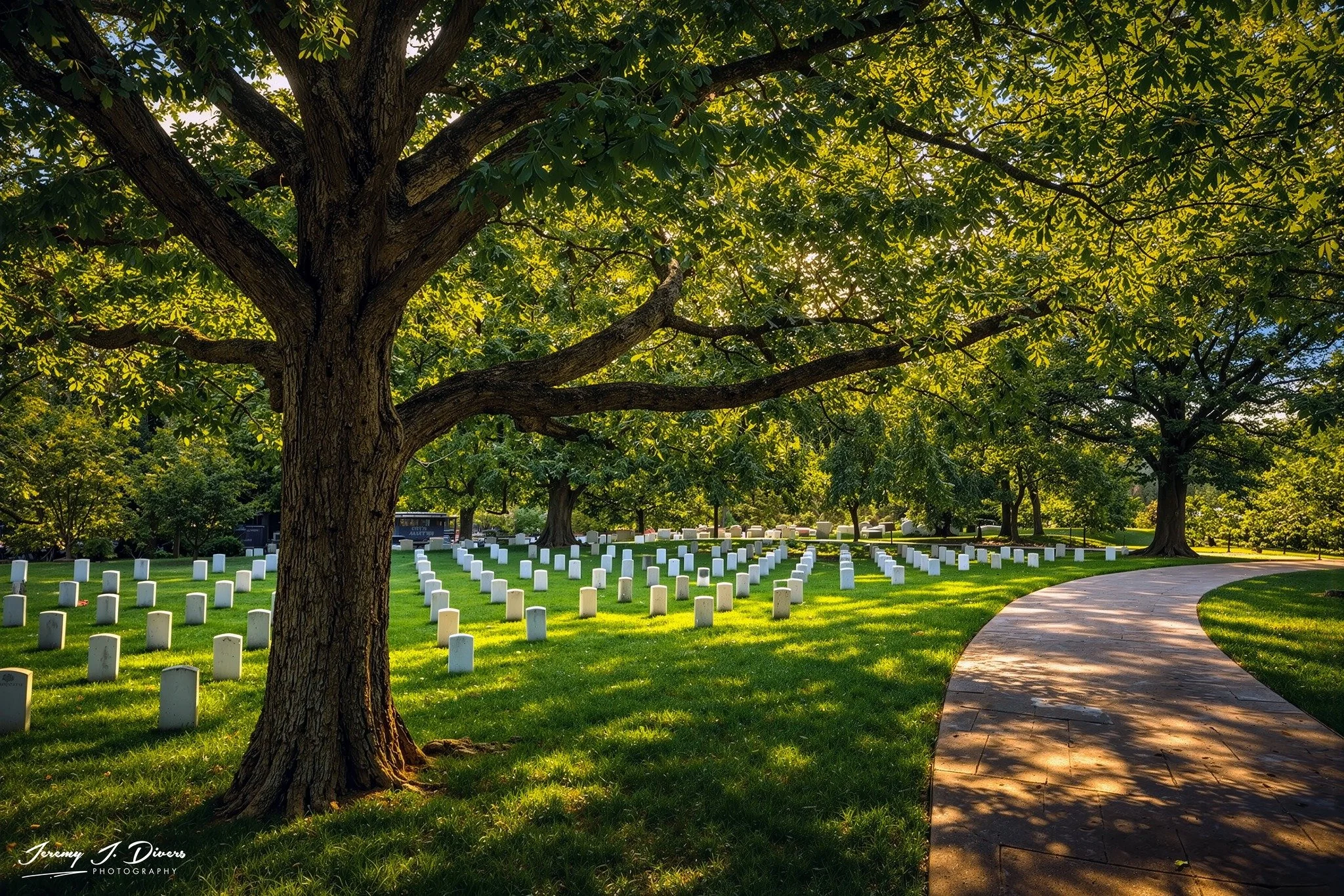 "A Soldier's Rest" Arlington National Cemetery, Virginia