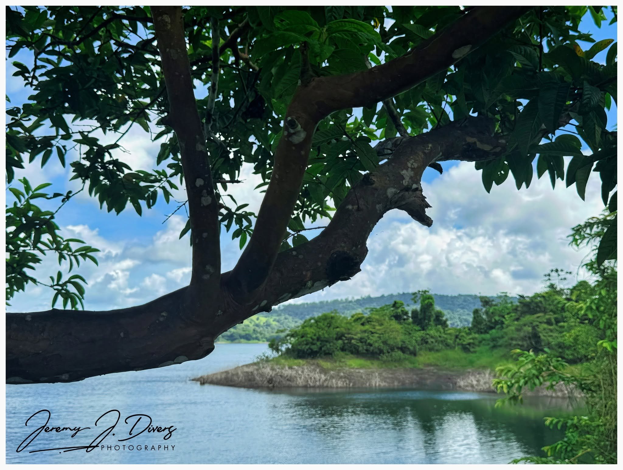 "Under the Green Canopy" Arenal Volcano National Park, Costa Rica