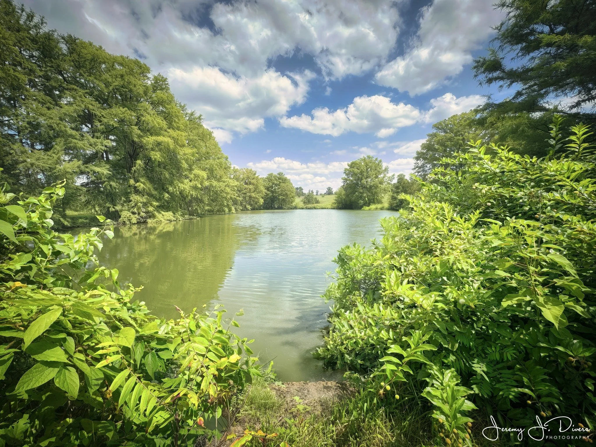 "Cypress Lake" Shaw Nature Reserve, Gray Summit, MO