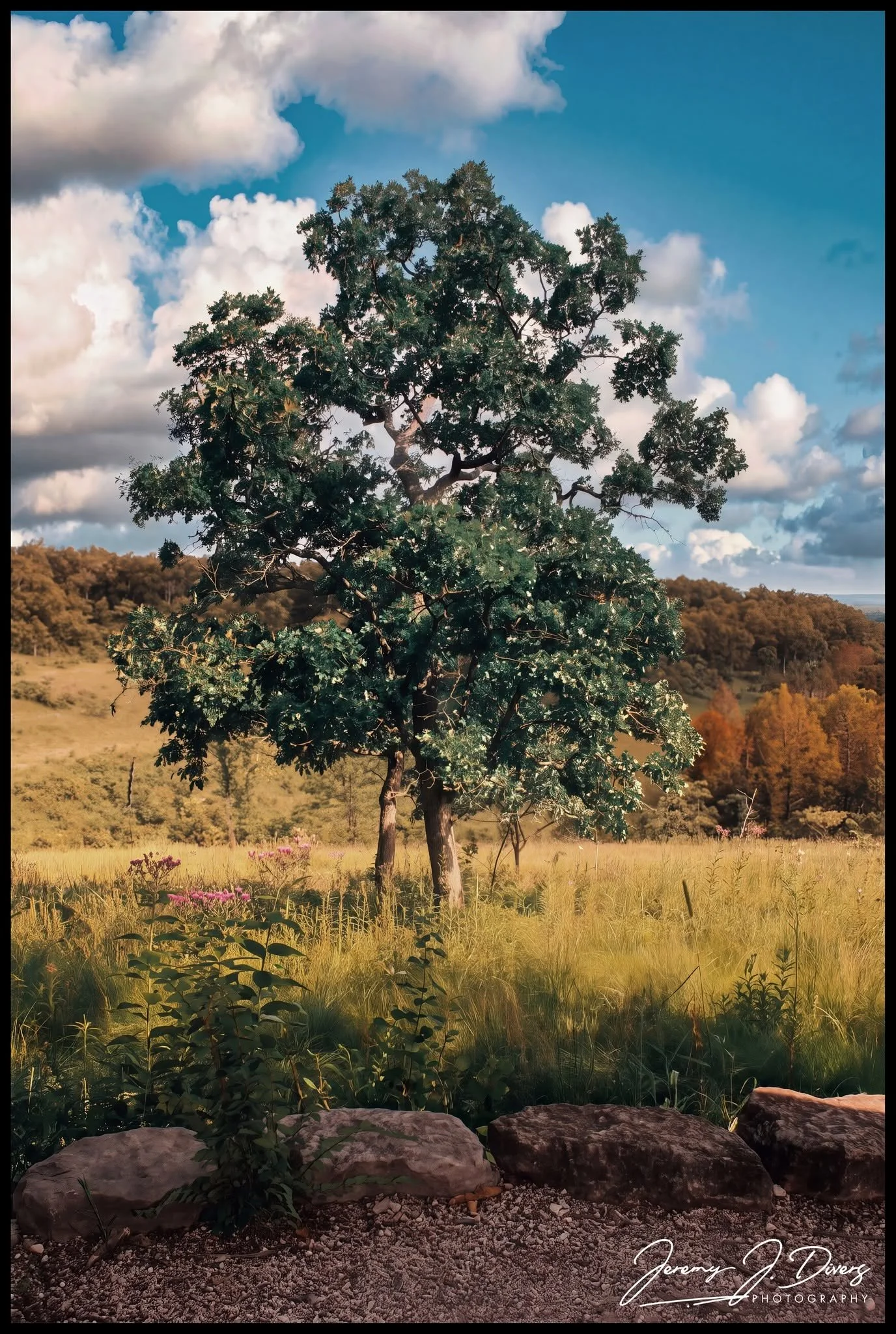 "The Heart of the Hills" Shaw Nature Reserve, Gray Summit, MO