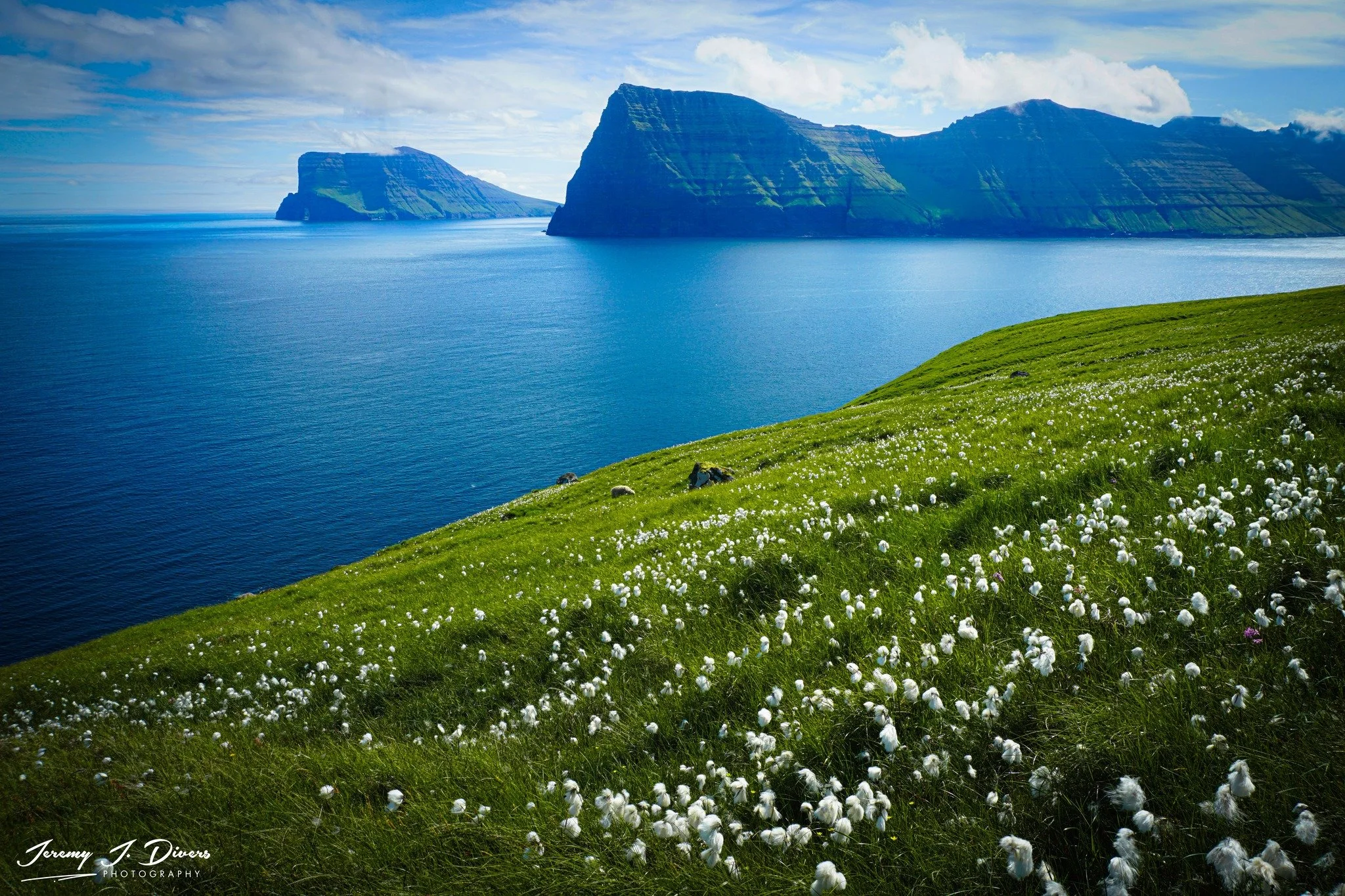 "Cotton Grass" Views of Kunoy and Viðoy Islands, Faroe Islands