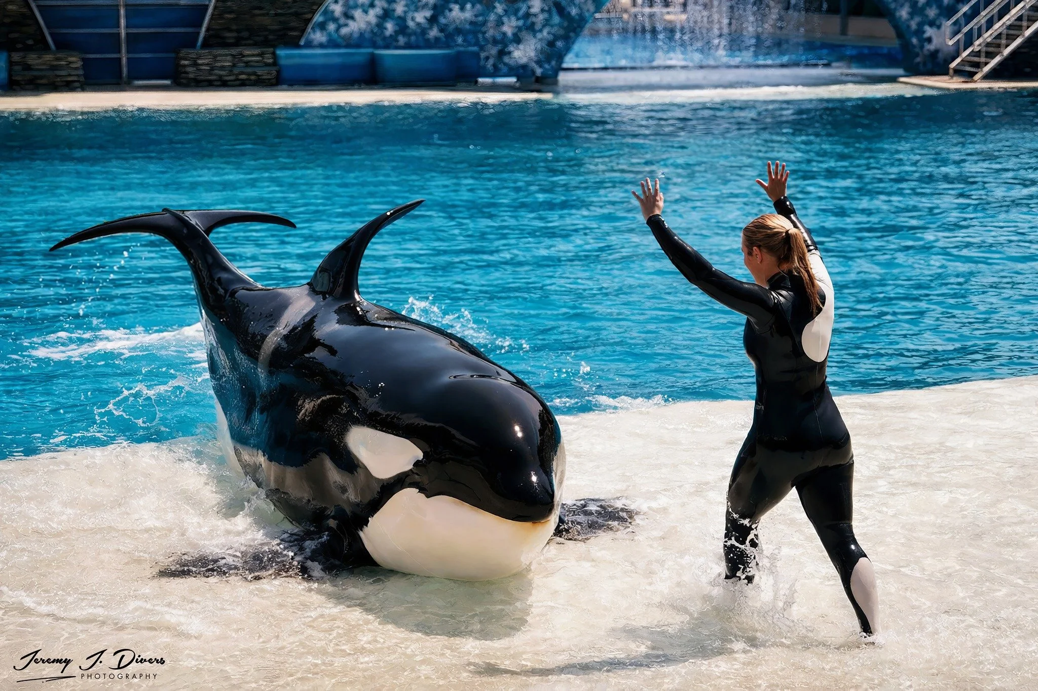 "Shamu, I Love You" Sea World, San Diego, California