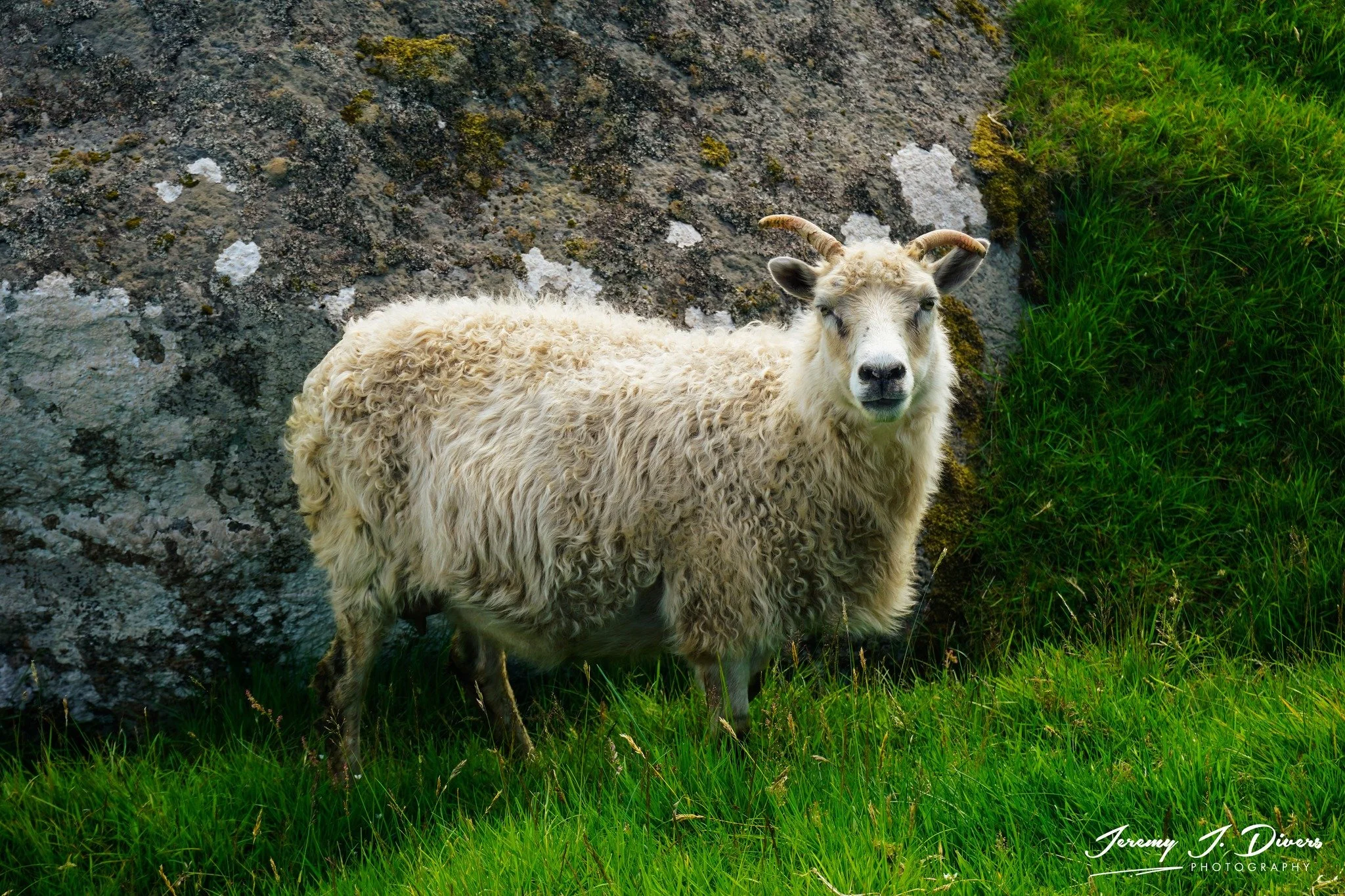 "Residents of Kalsoy Island" (B)