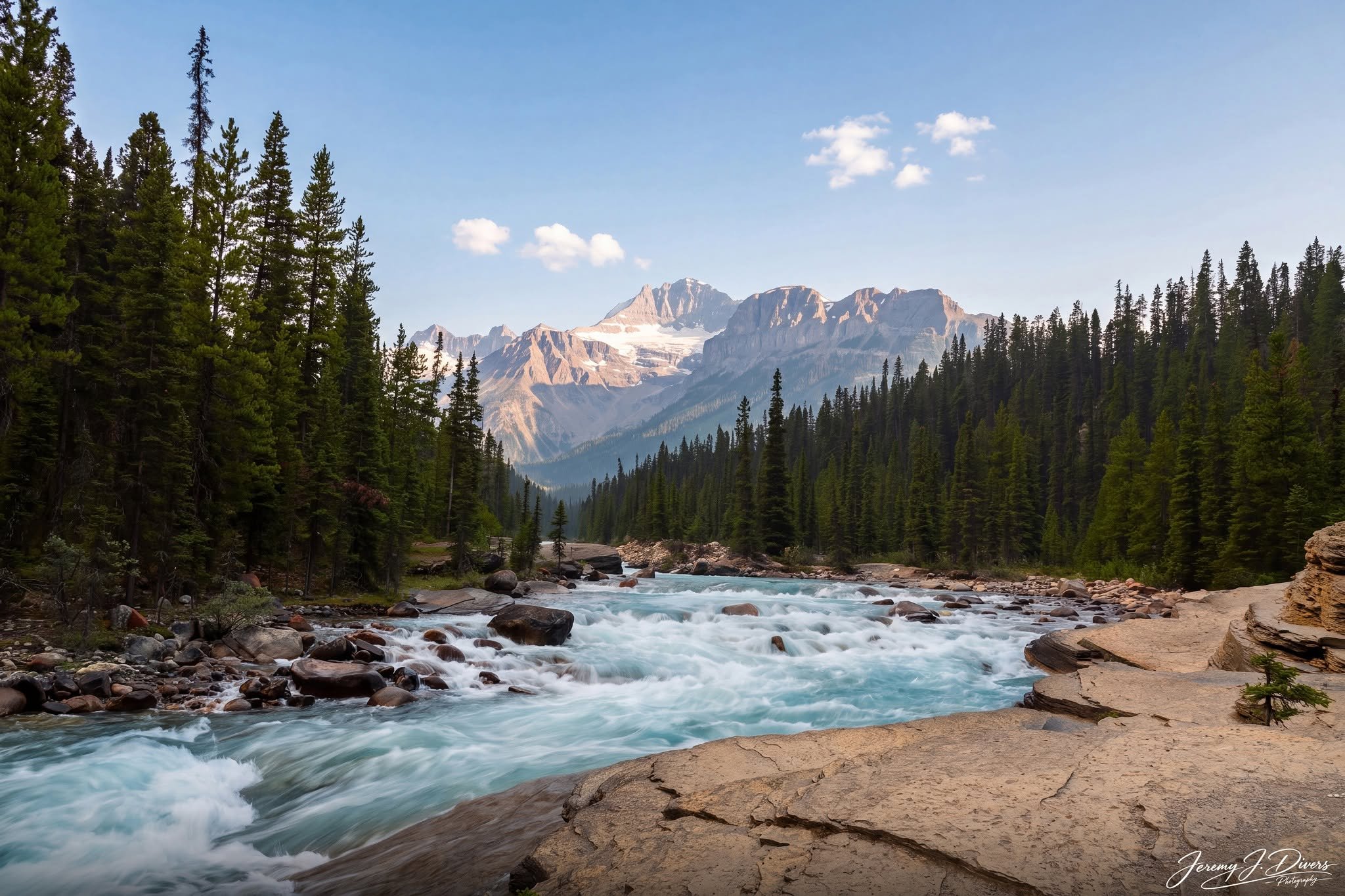 "Turquoise Through the Timber" Jasper National Park, Alberta, Canada