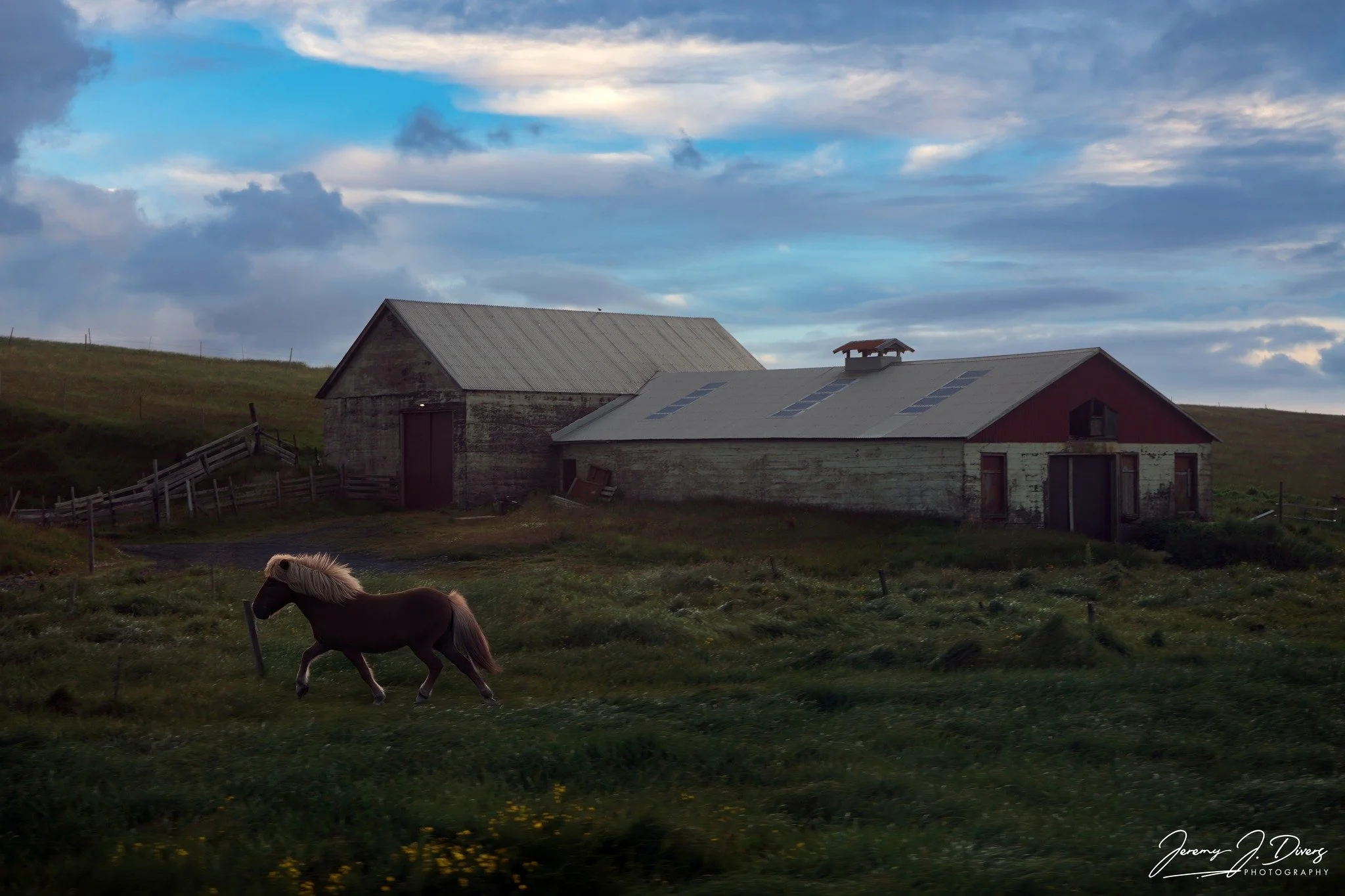 "Icelandic Farmstead" Vík í Mýrdal, Iceland