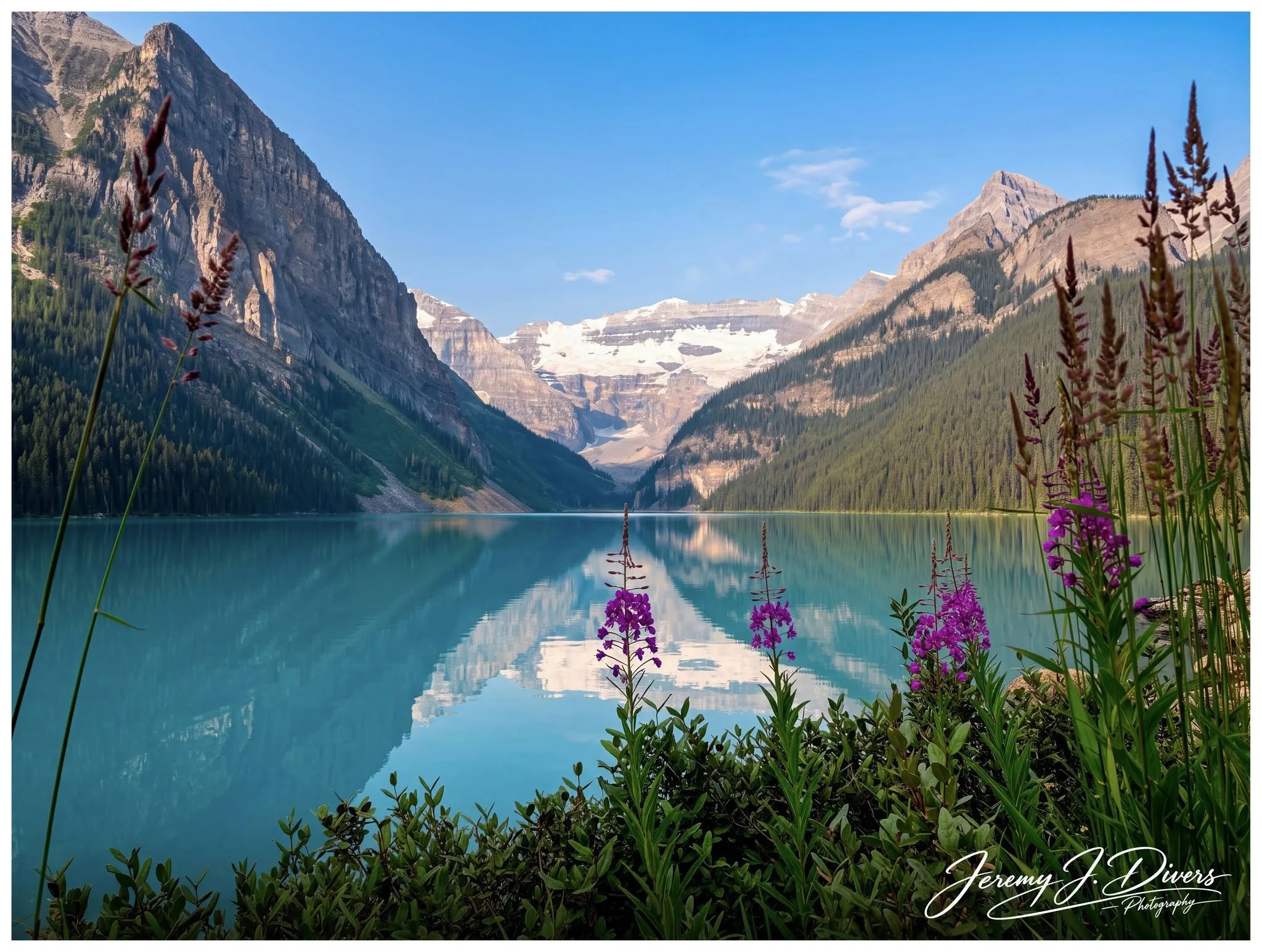 “Wildflowers at Lake Louise” Banff National Park, Alberta, Canada