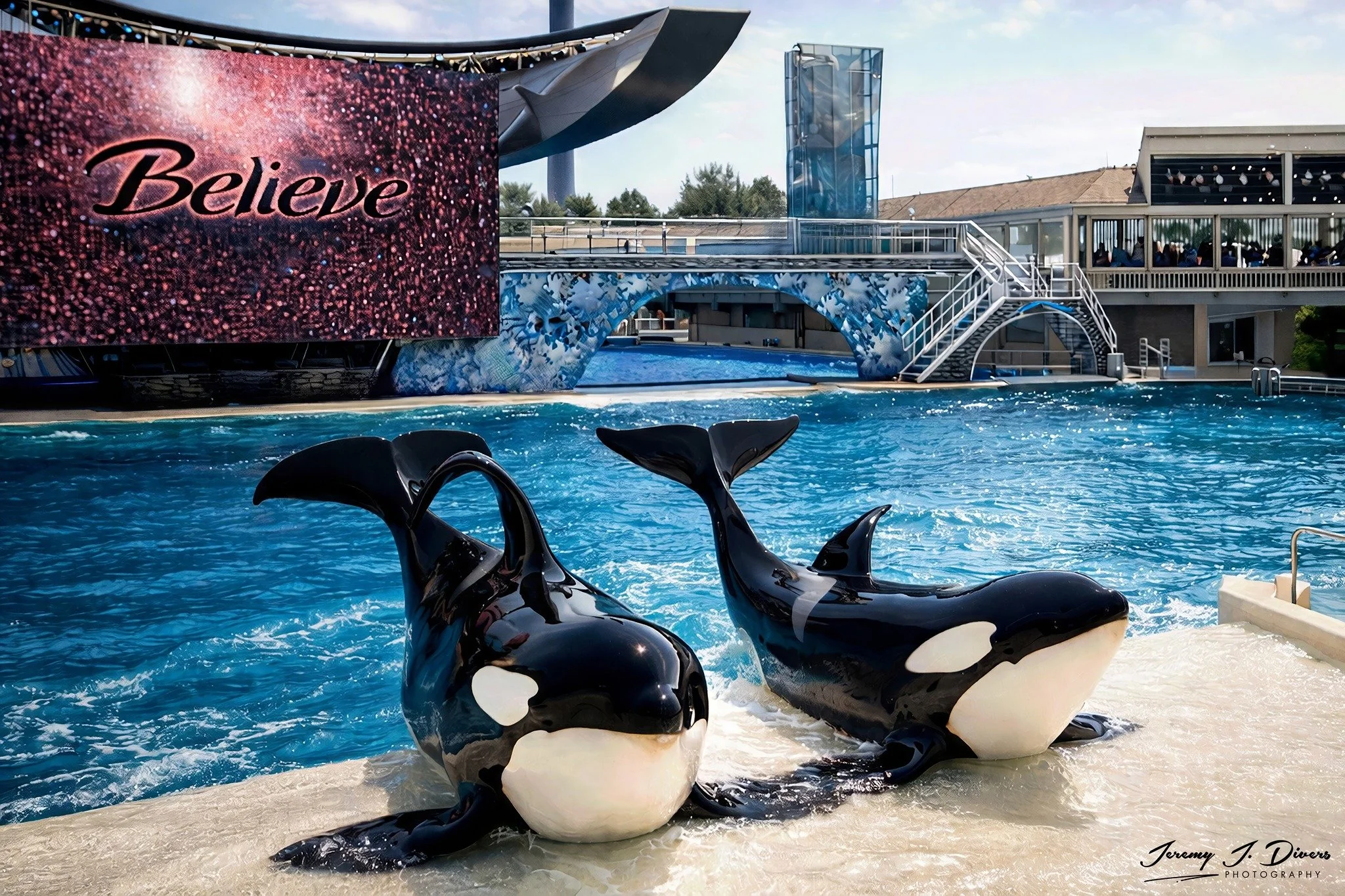 "Twin Orcas" Shamu Show, Sea World, San Diego, California