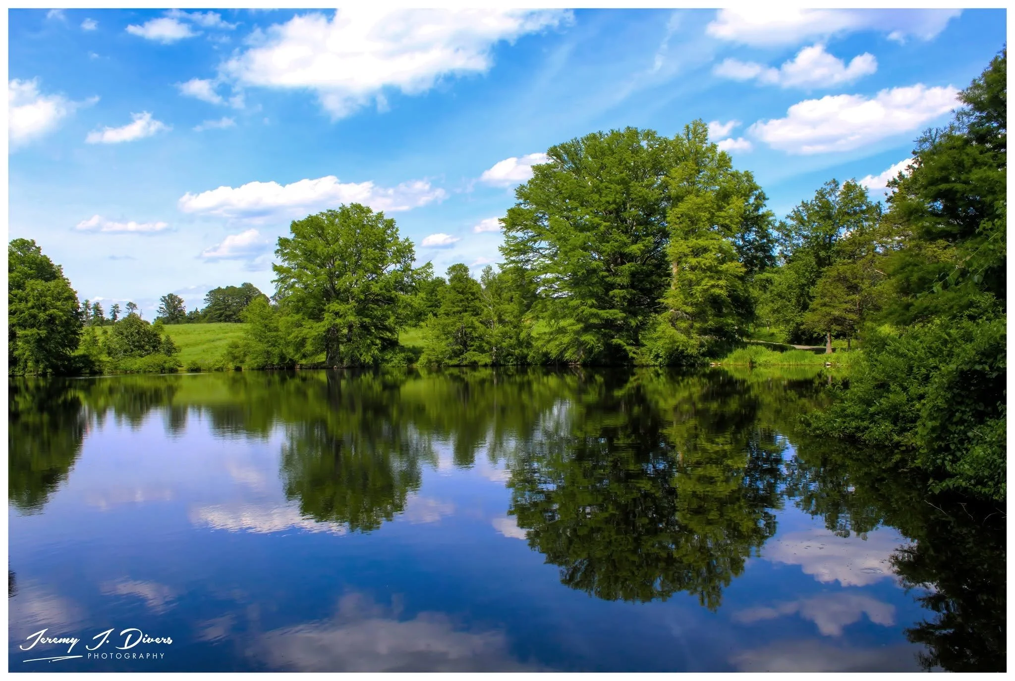 "Views from Cypress Lake," (C) Shaw Nature Reserve, Gray Summit, MO