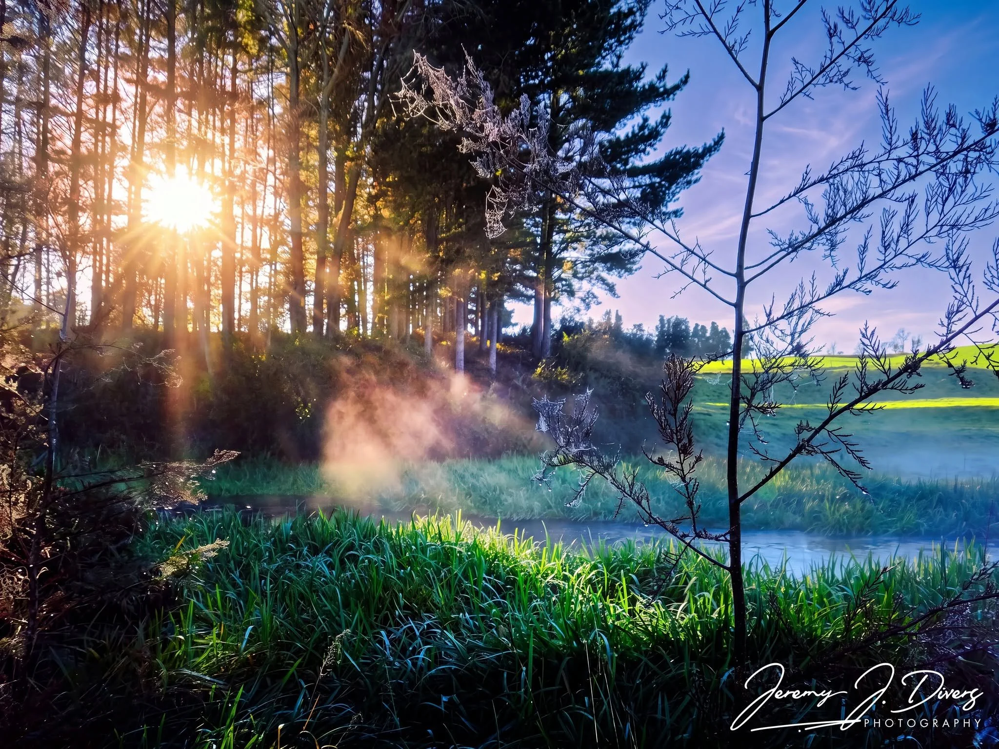 “Where Morning Weaves Its Magic” Waitomo, New Zealand